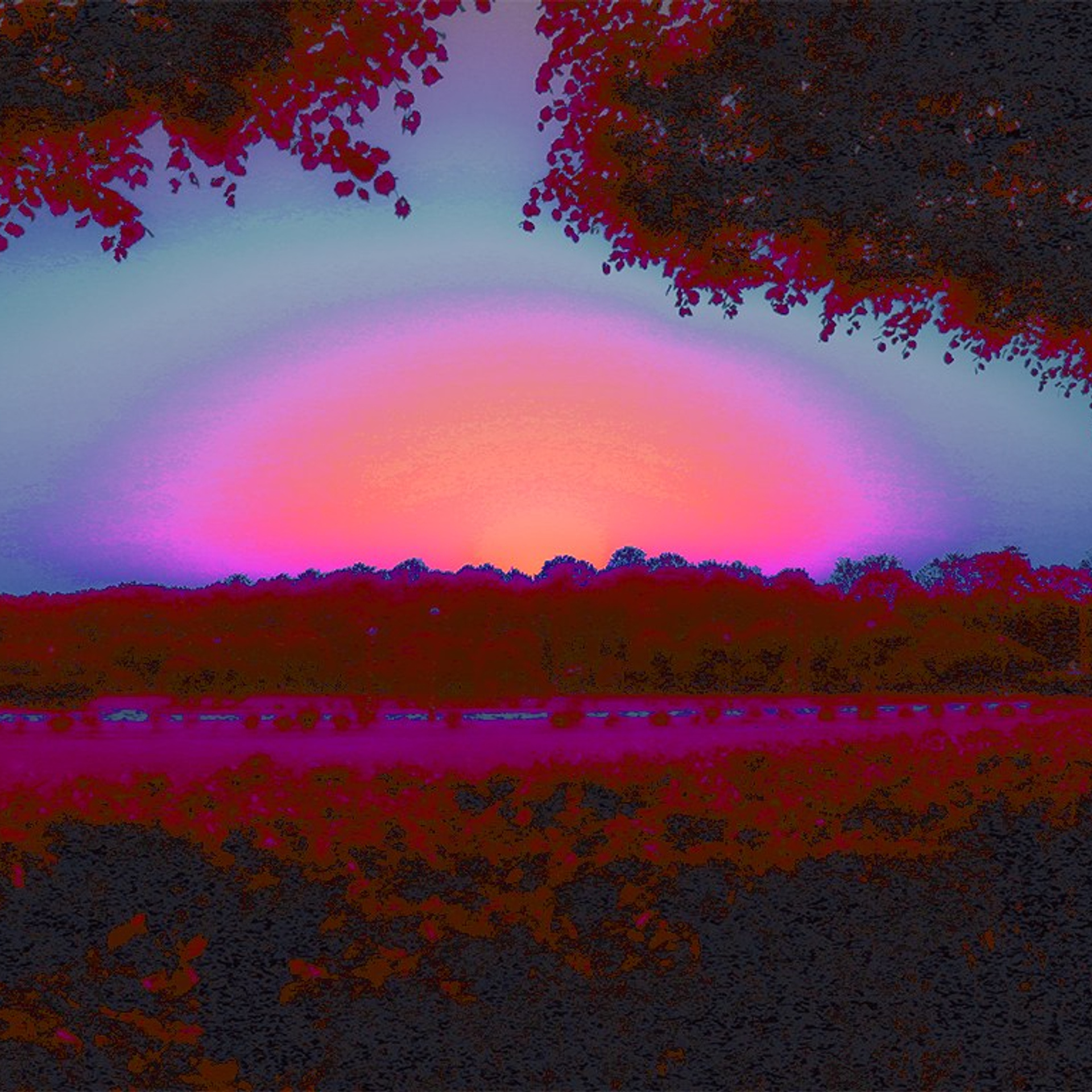 Poisoned dreams. Я — Мария, фотограф/фотохудожник в Санкт-Петербурге