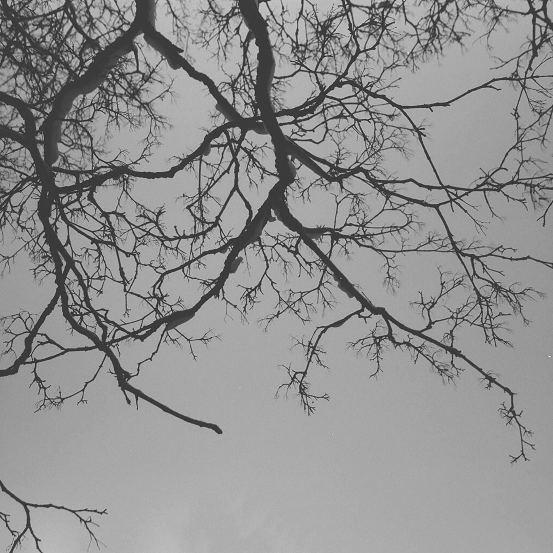 Dream 38+ degree. Я — Мария, фотограф/фотохудожник в Санкт-Петербурге