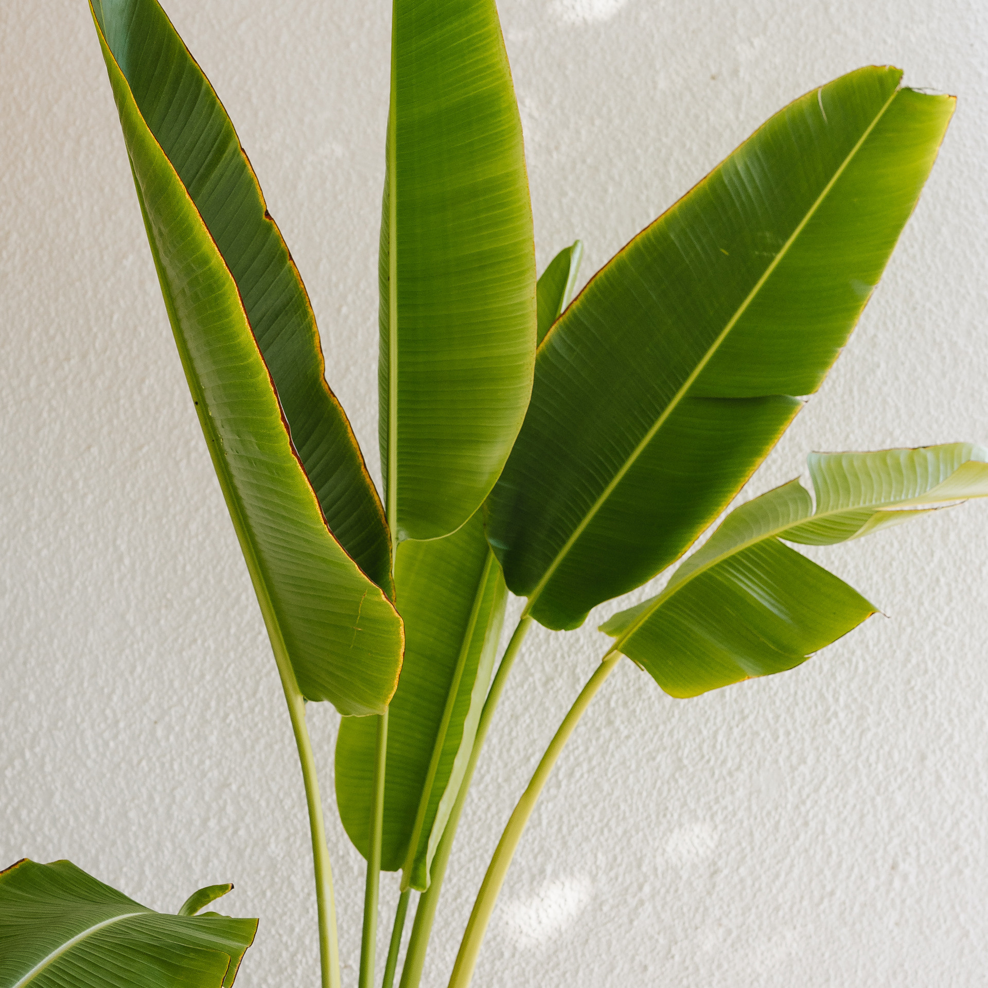 Feedback. Photographer Yana Kotova