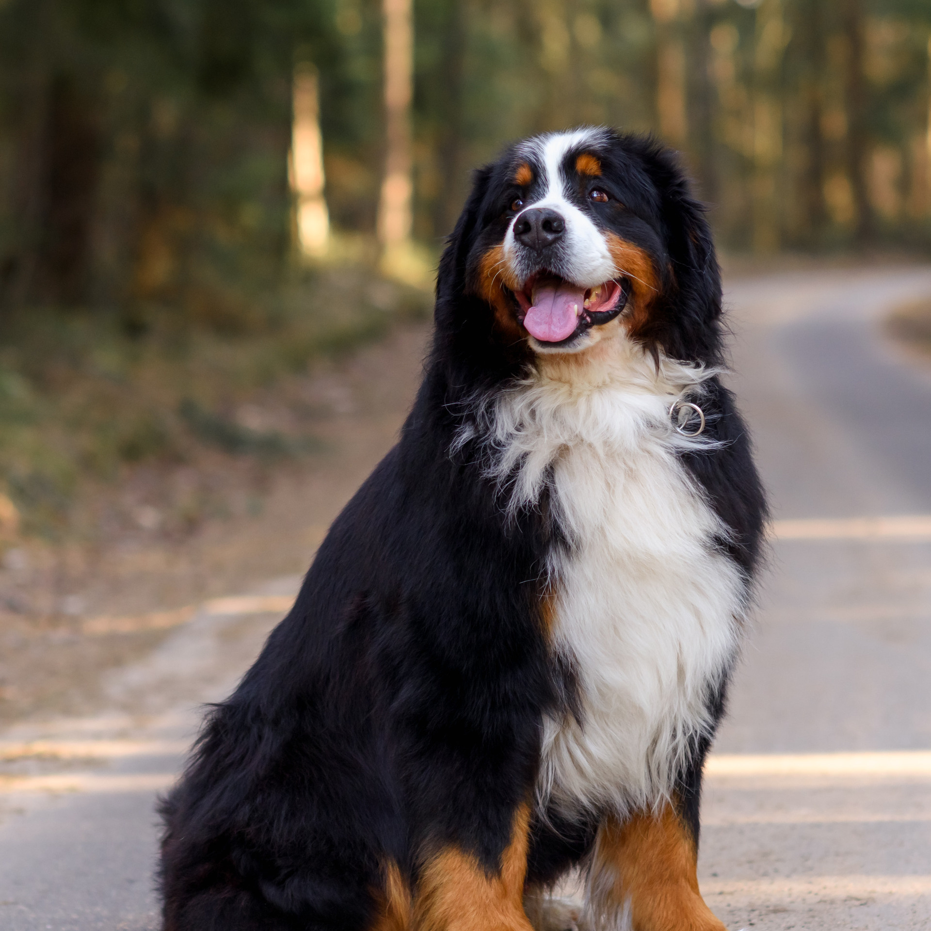 Отзывы. Семейный фотограф в Минске Виктория Дубровская