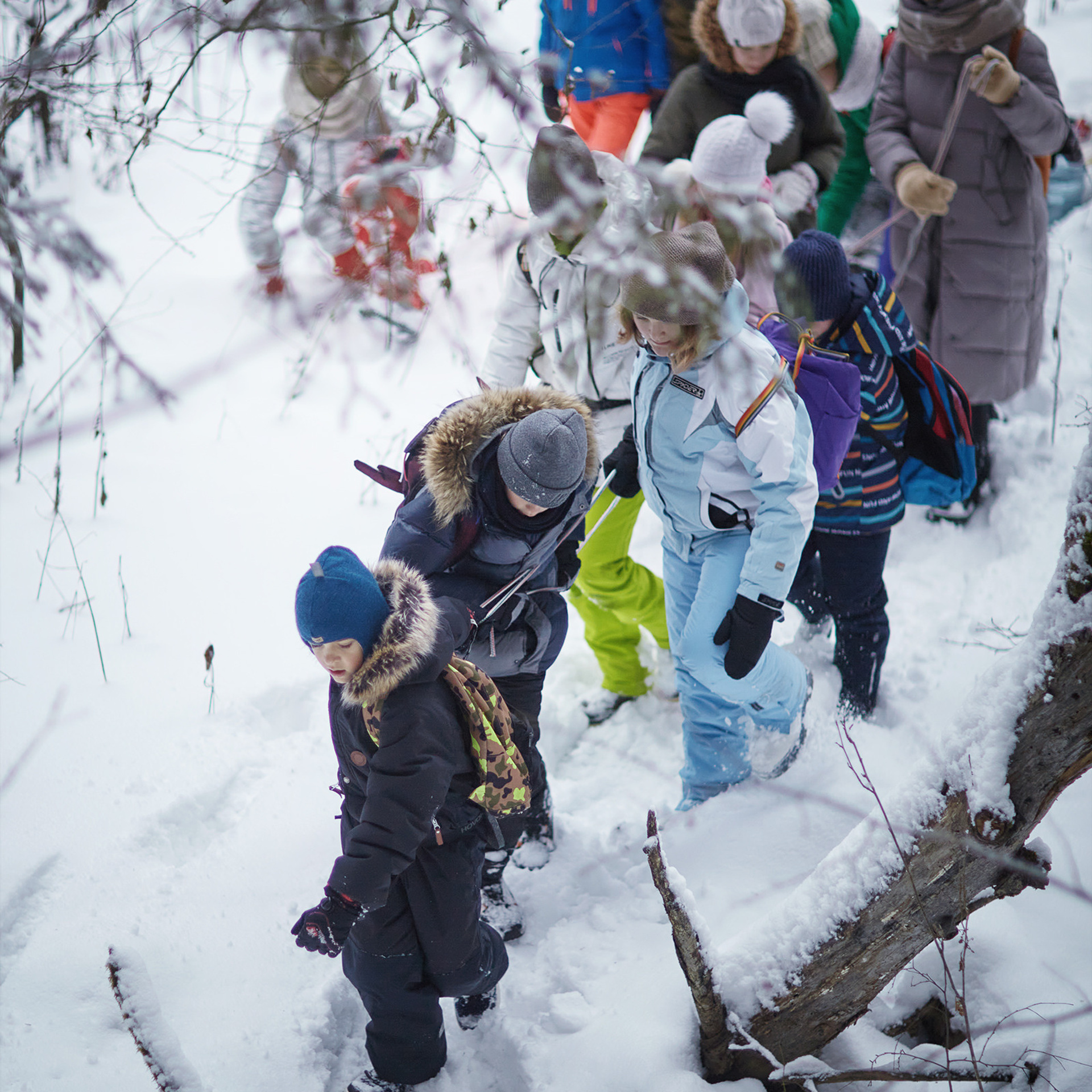 Короткий зимний поход в лес (04.01.2021)