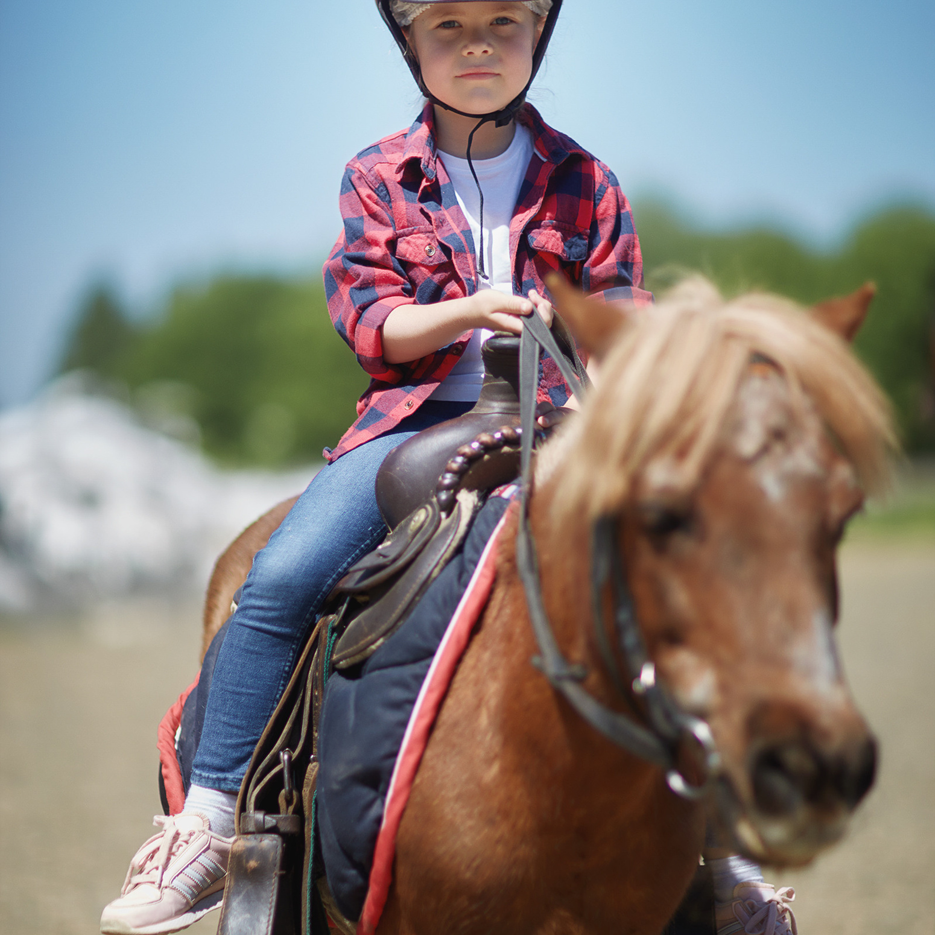 Нравятся ли девочкам лошадки? (Часть 1)