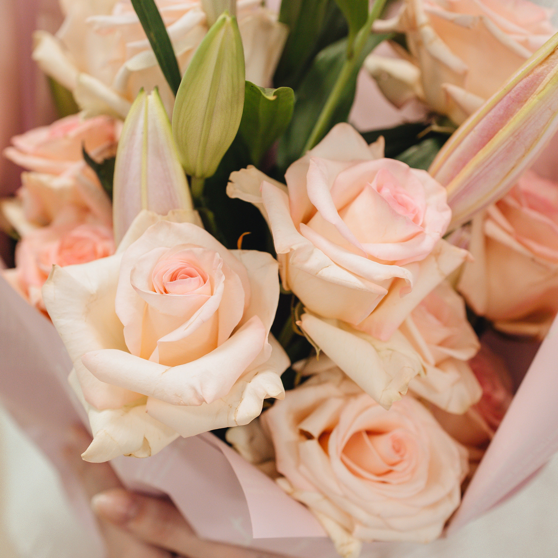 Отзывы. МиМика — самая детская фотография