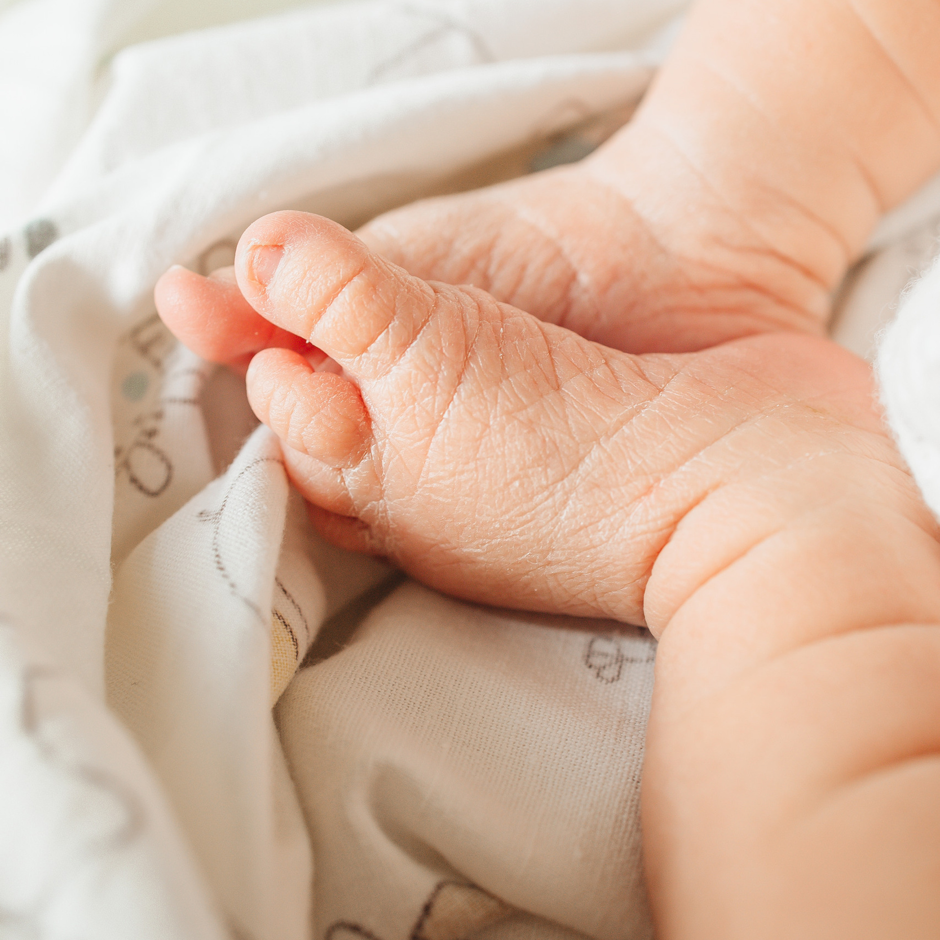 Отзывы. МиМика — самая детская фотография