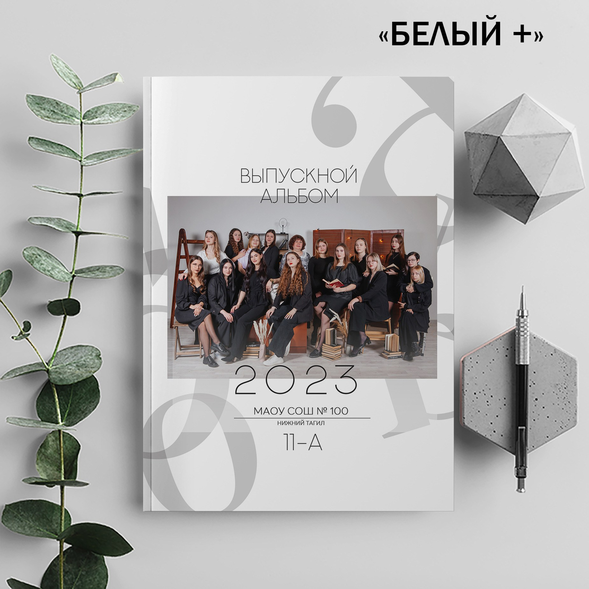 Альбом 9 кл 3. Ёжик в шапке. Выпускные альбомы Нижний Тагил Екатеринбург