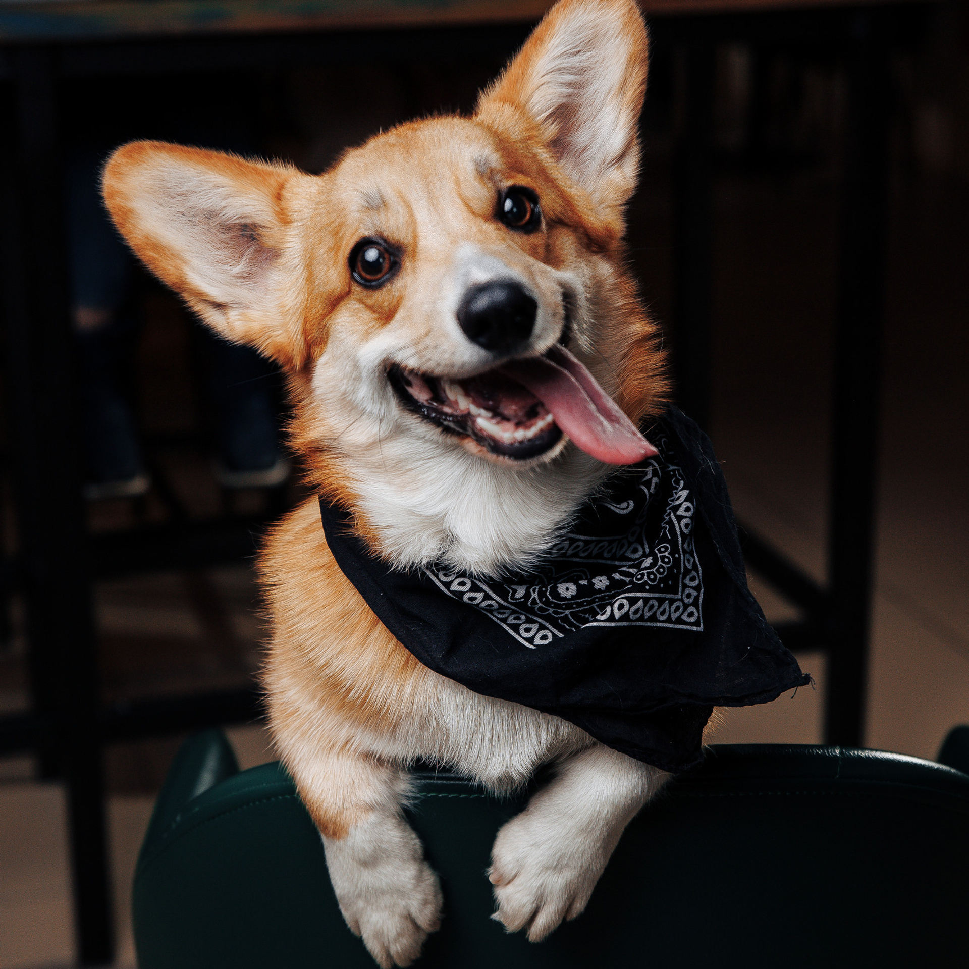 Отзывы. Фотограф Роман Блинов