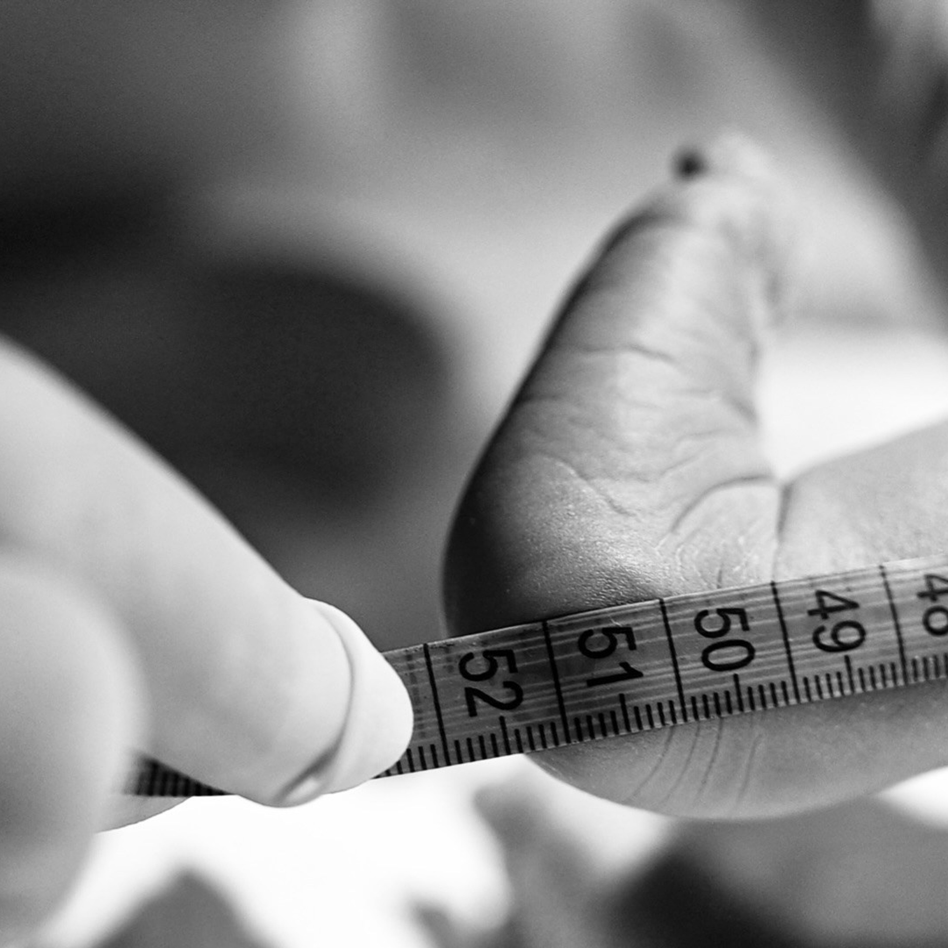 Лев родился