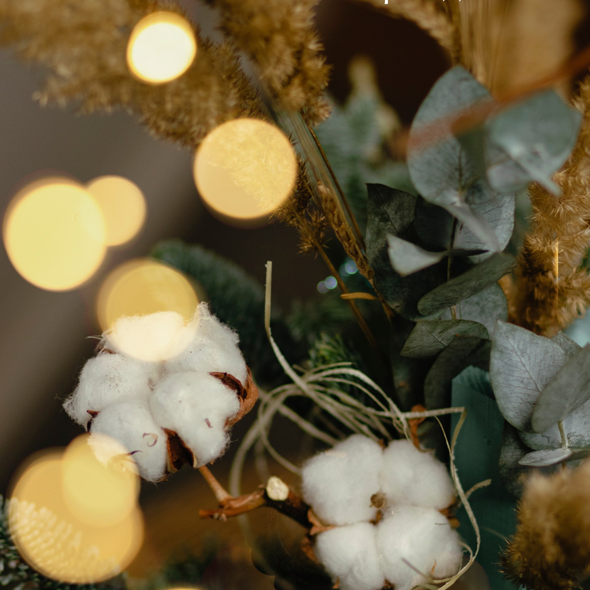 Отзывы. Фотограф Екатерина Советкина Самара