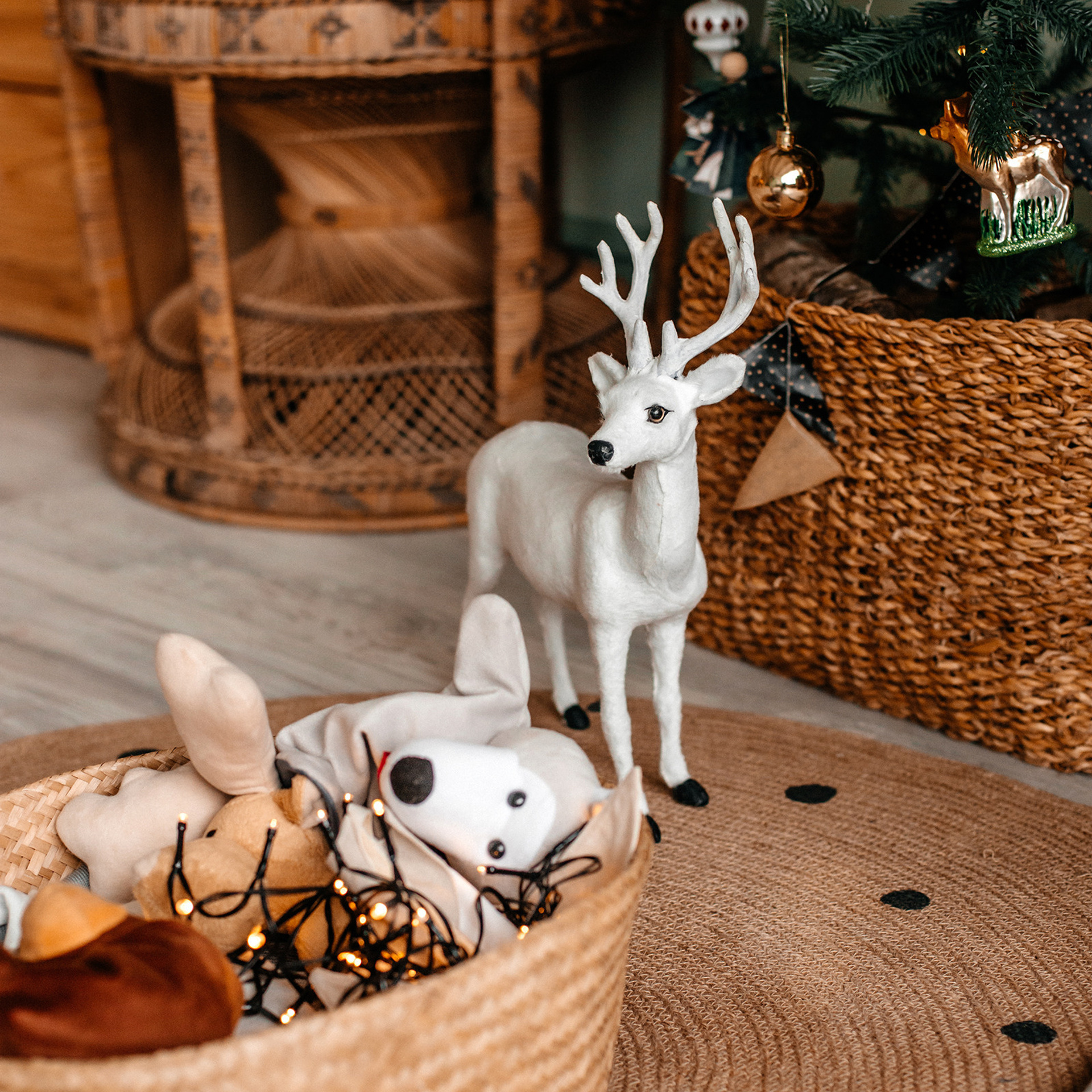 Отзывы. Семейный фотограф в Минске Саша Павлюк