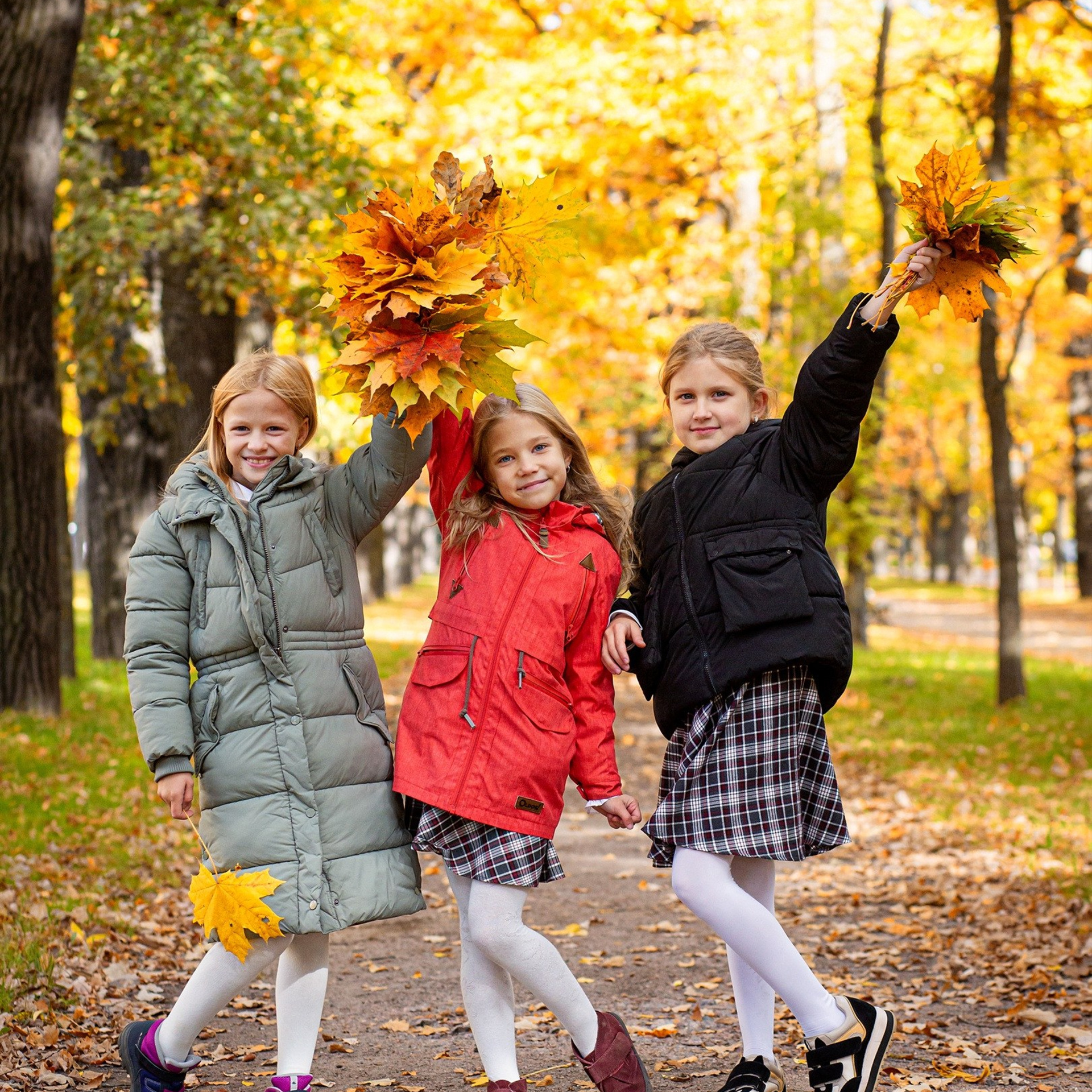 Осень. Начальная школа.