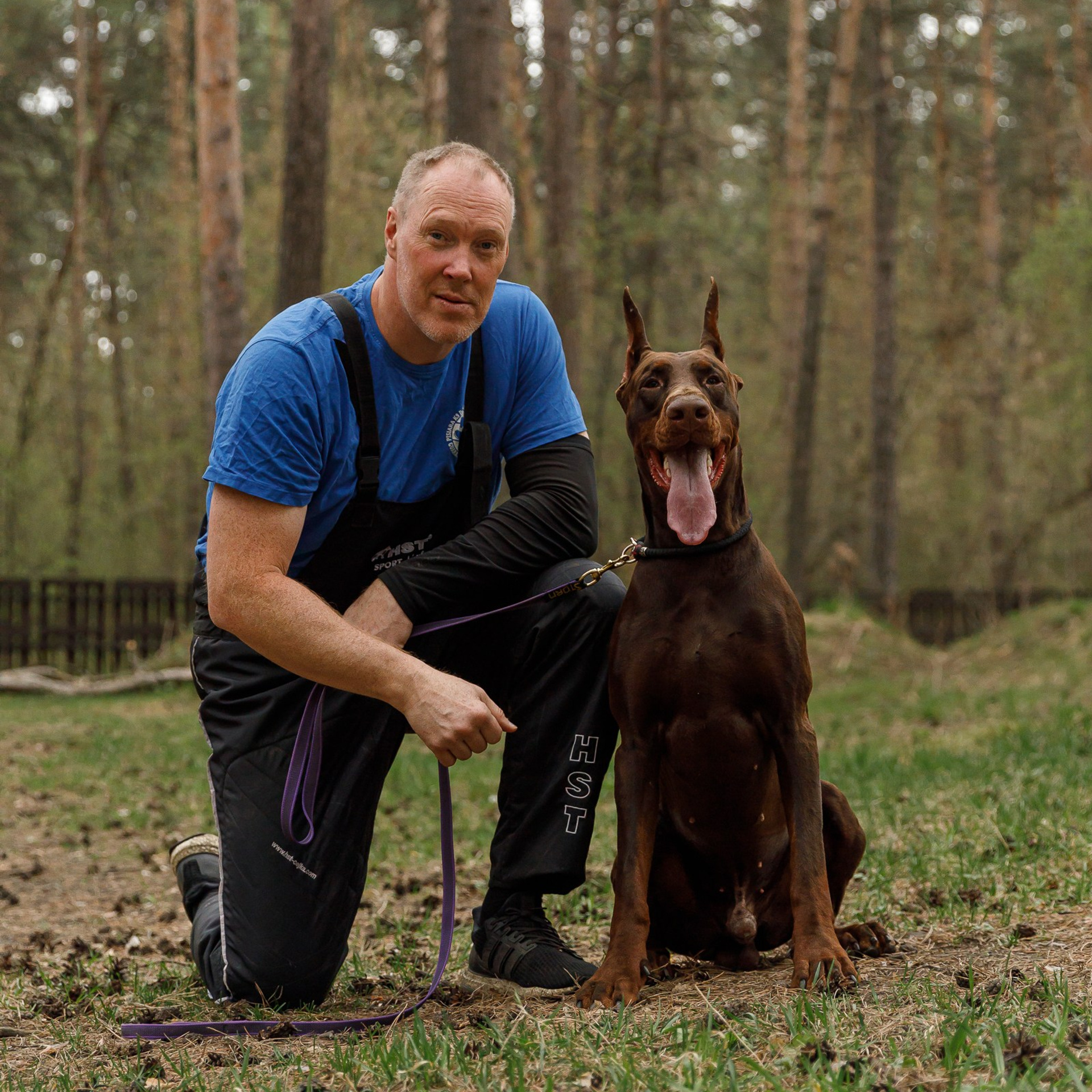 Рабочие собаки