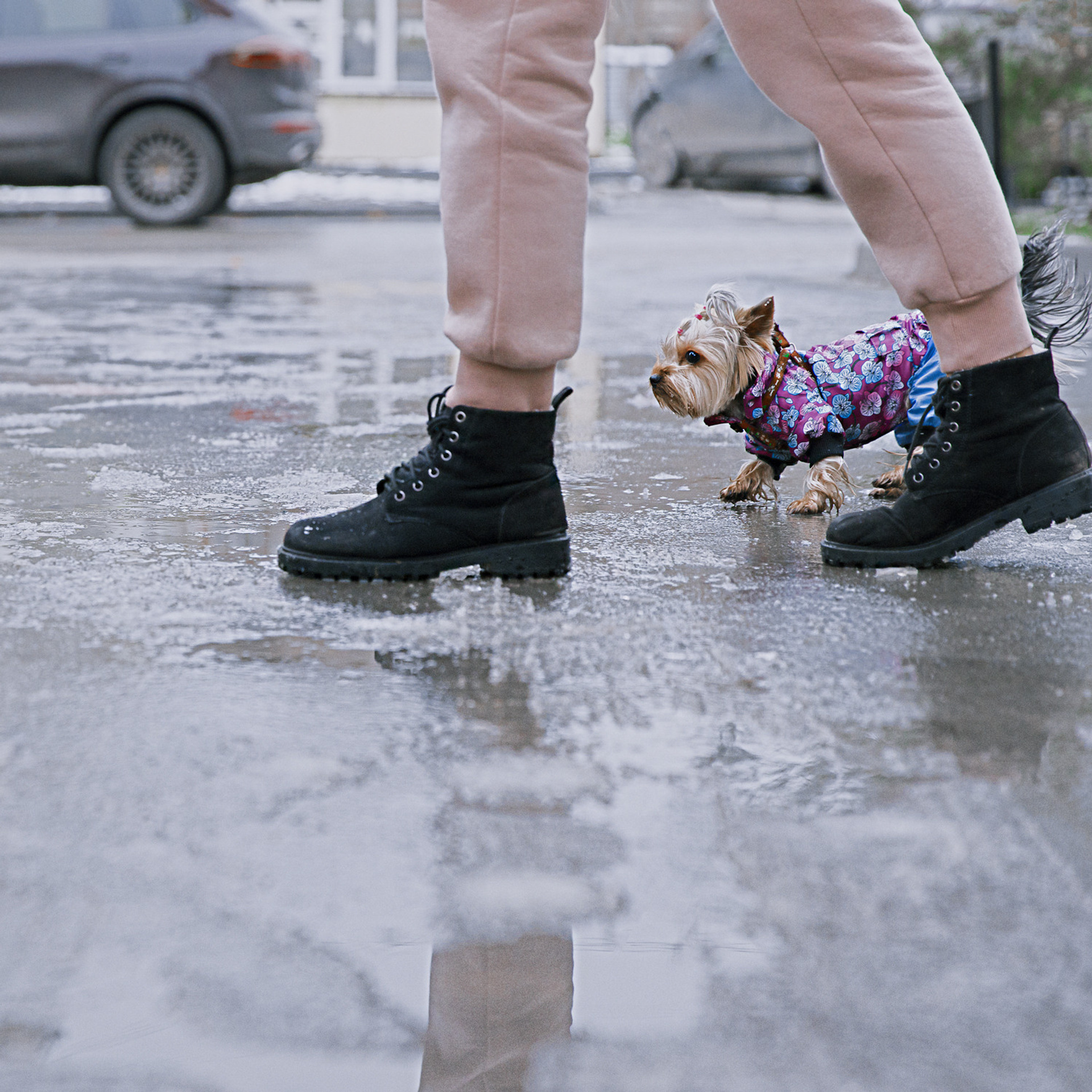 Оля и Молли