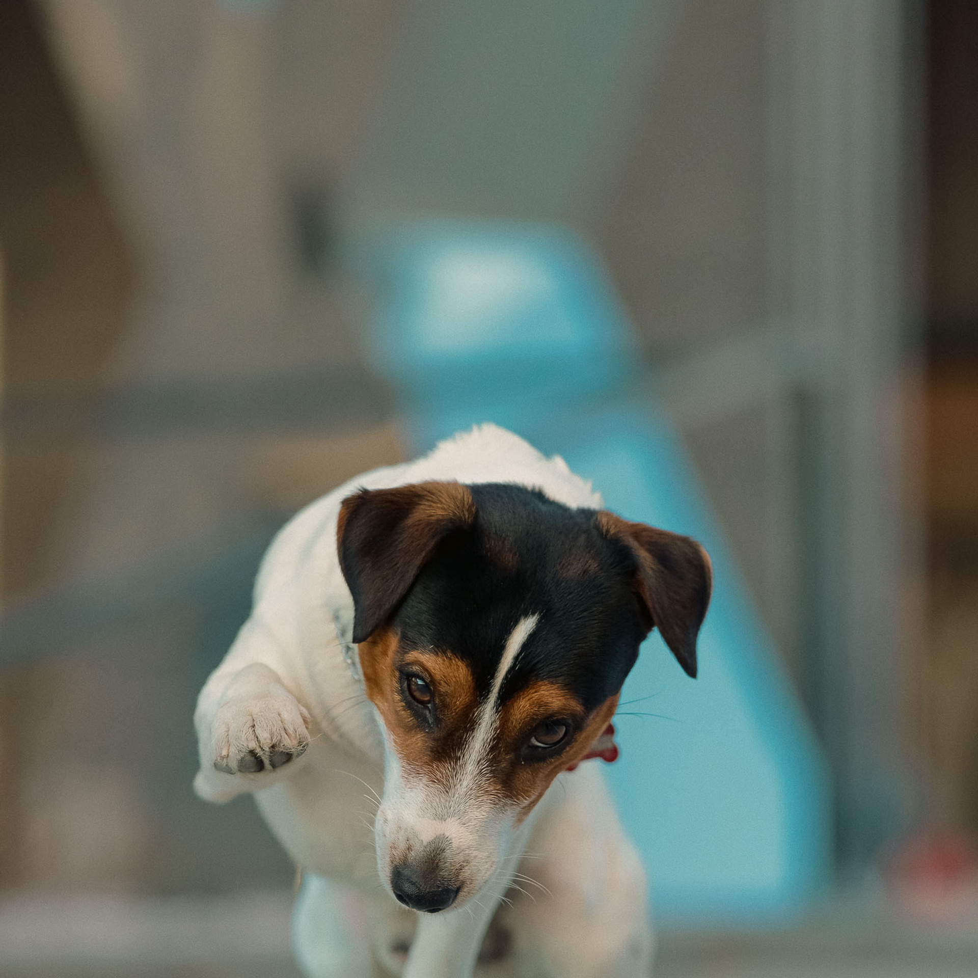 Любовь и Рэд