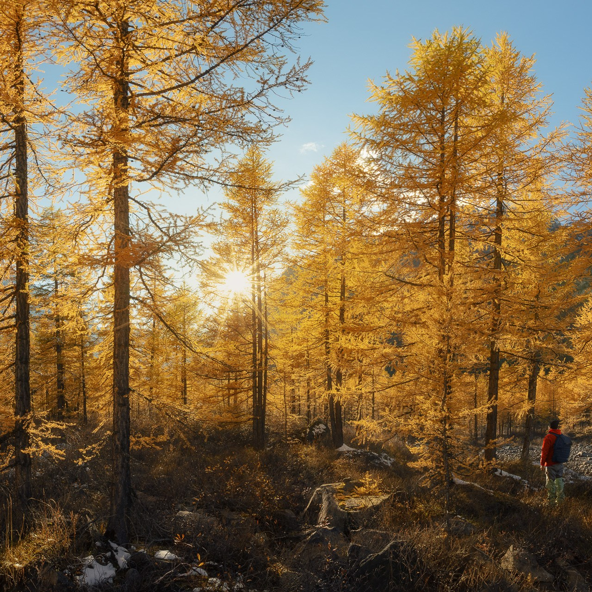 АЛТАЙ 2026. Фототуры и обучение пейзажной фотографии