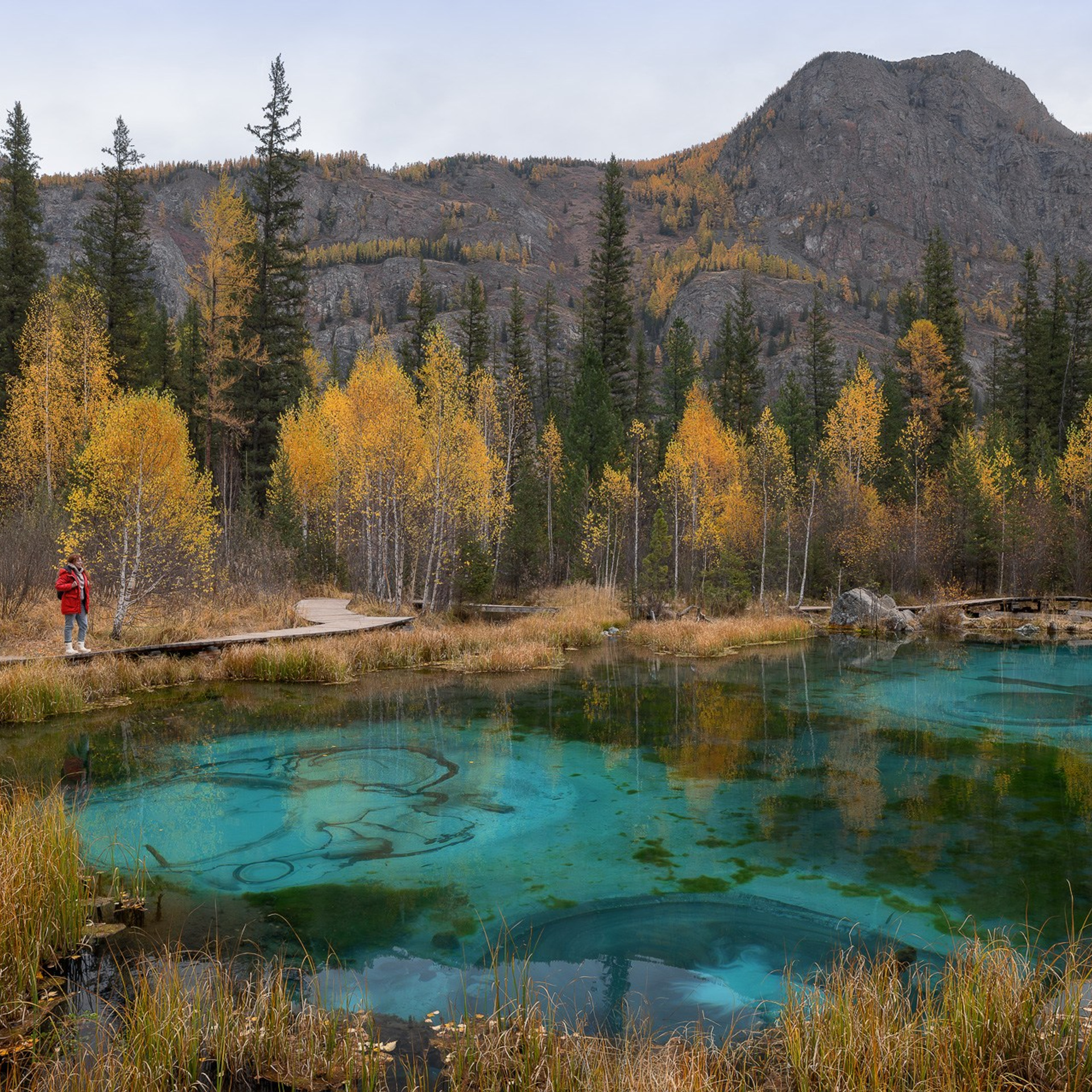 АЛТАЙ 2026. Фототуры и обучение пейзажной фотографии