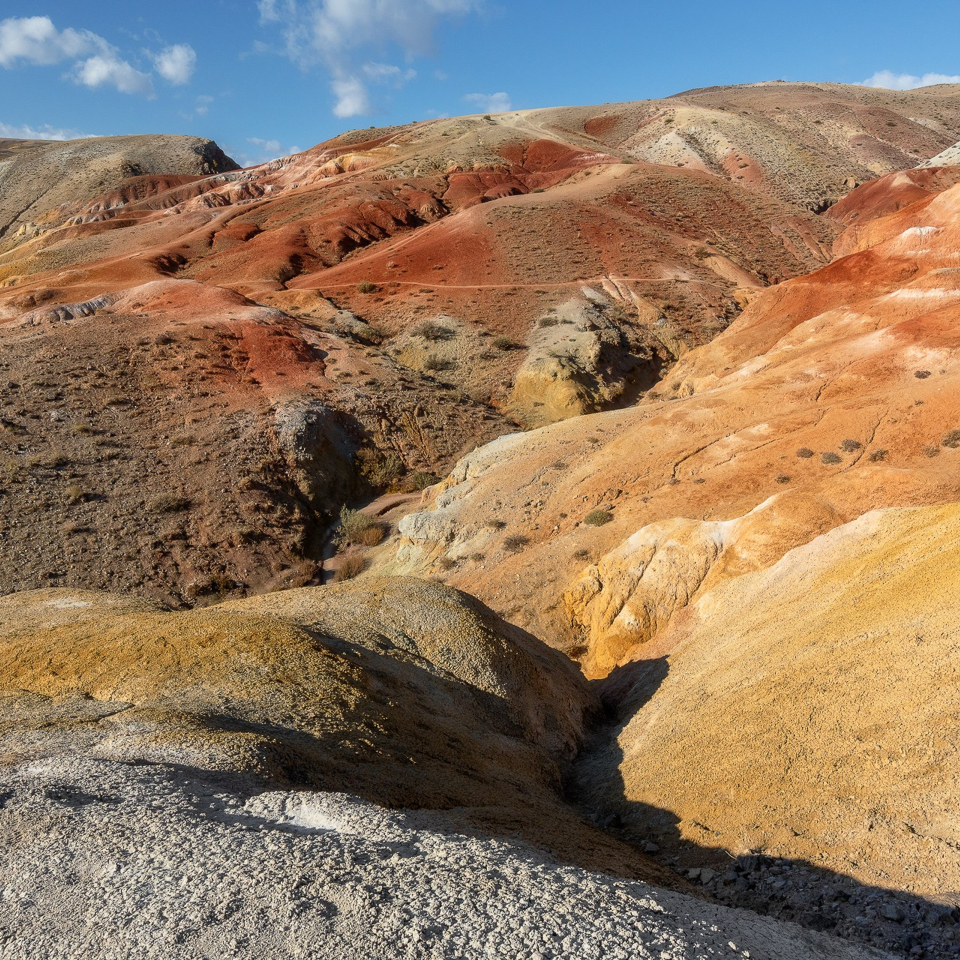 АЛТАЙ 2026. Фототуры и обучение пейзажной фотографии