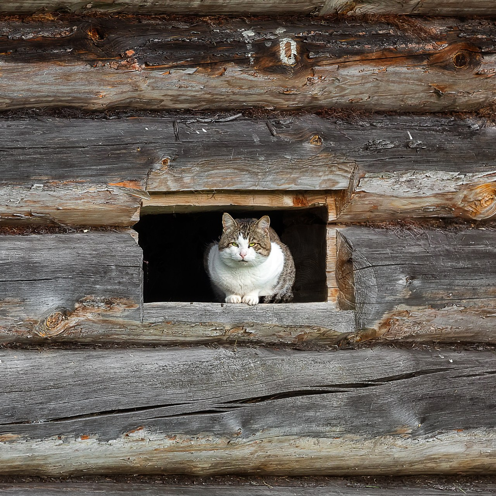 КЕНОЗЕРО 2026. Фототуры и обучение пейзажной фотографии