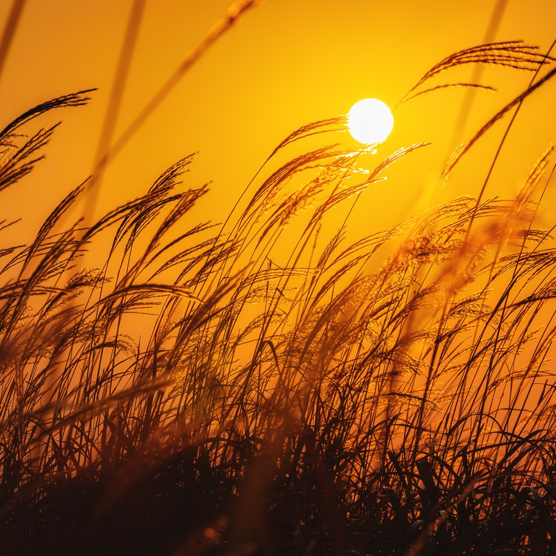 Фототур по Приморью. Фототуры и обучение пейзажной фотографии