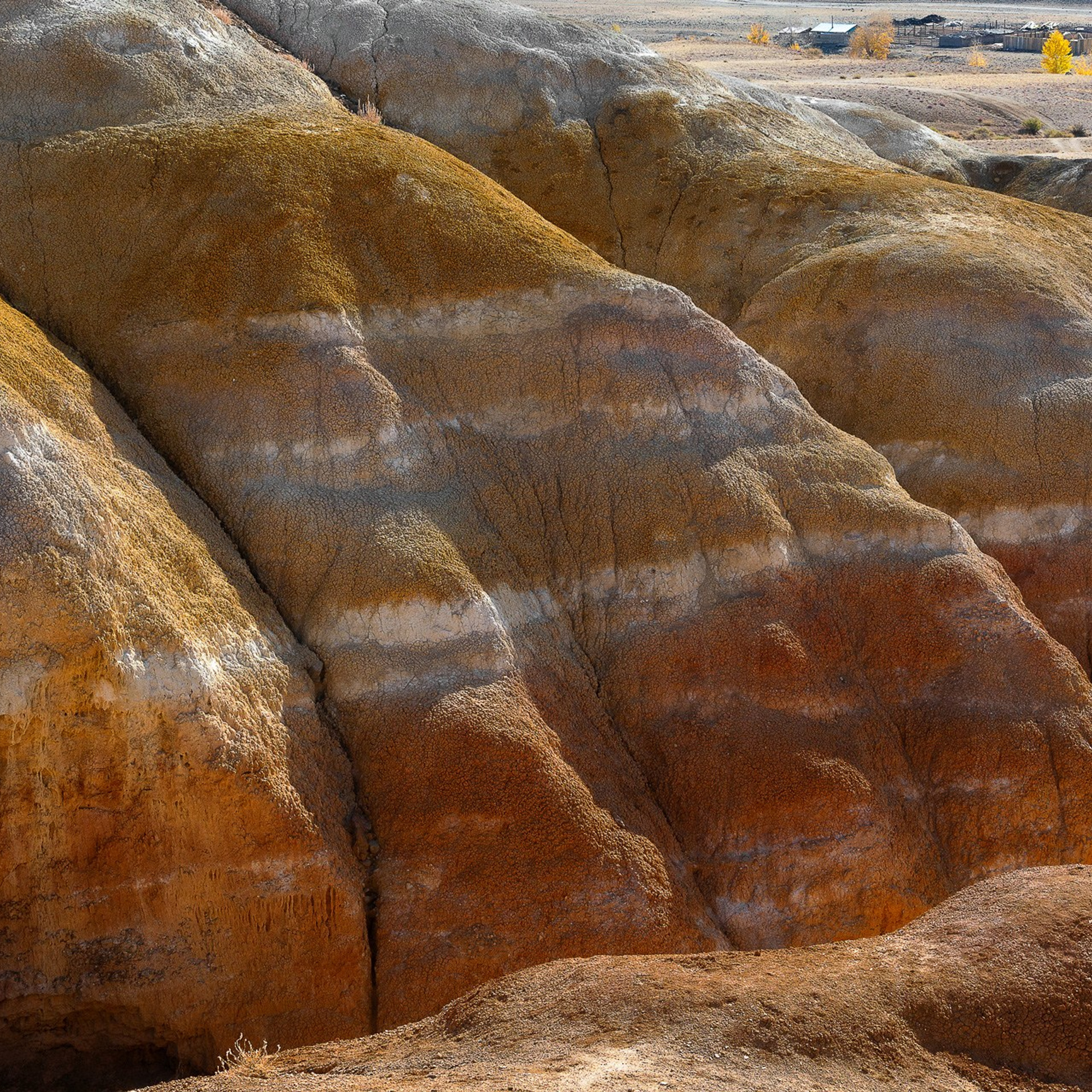 АЛТАЙ 2026. Фототуры и обучение пейзажной фотографии