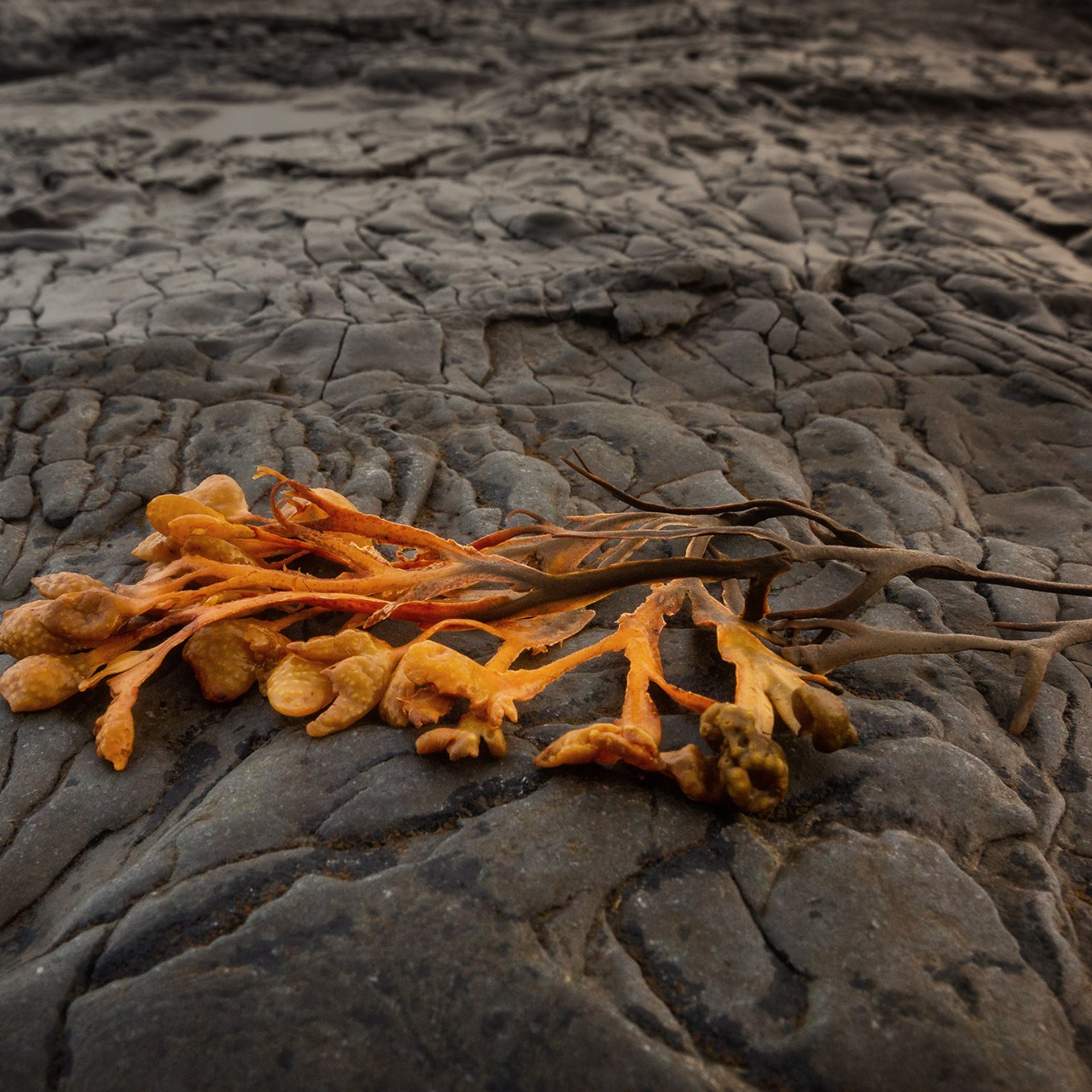 РЫБАЧИЙ 2025. Фототуры и обучение пейзажной фотографии