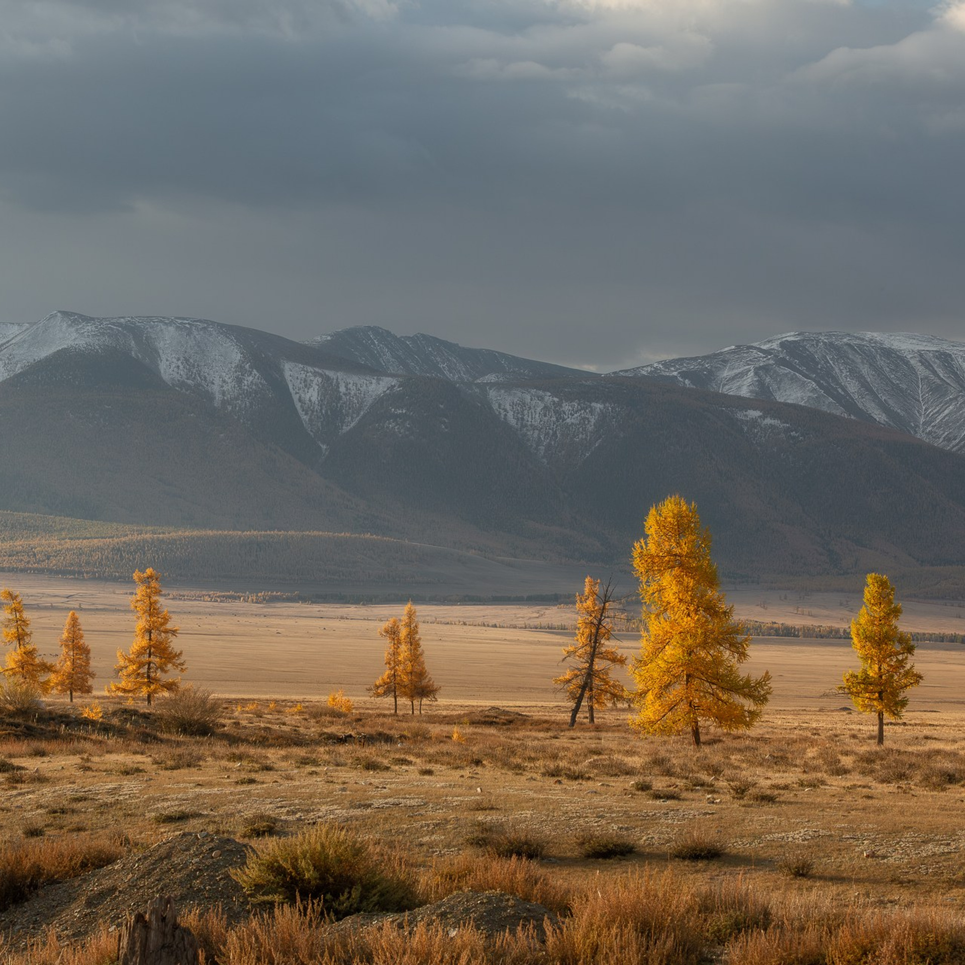 АЛТАЙ 2026. Фототуры и обучение пейзажной фотографии