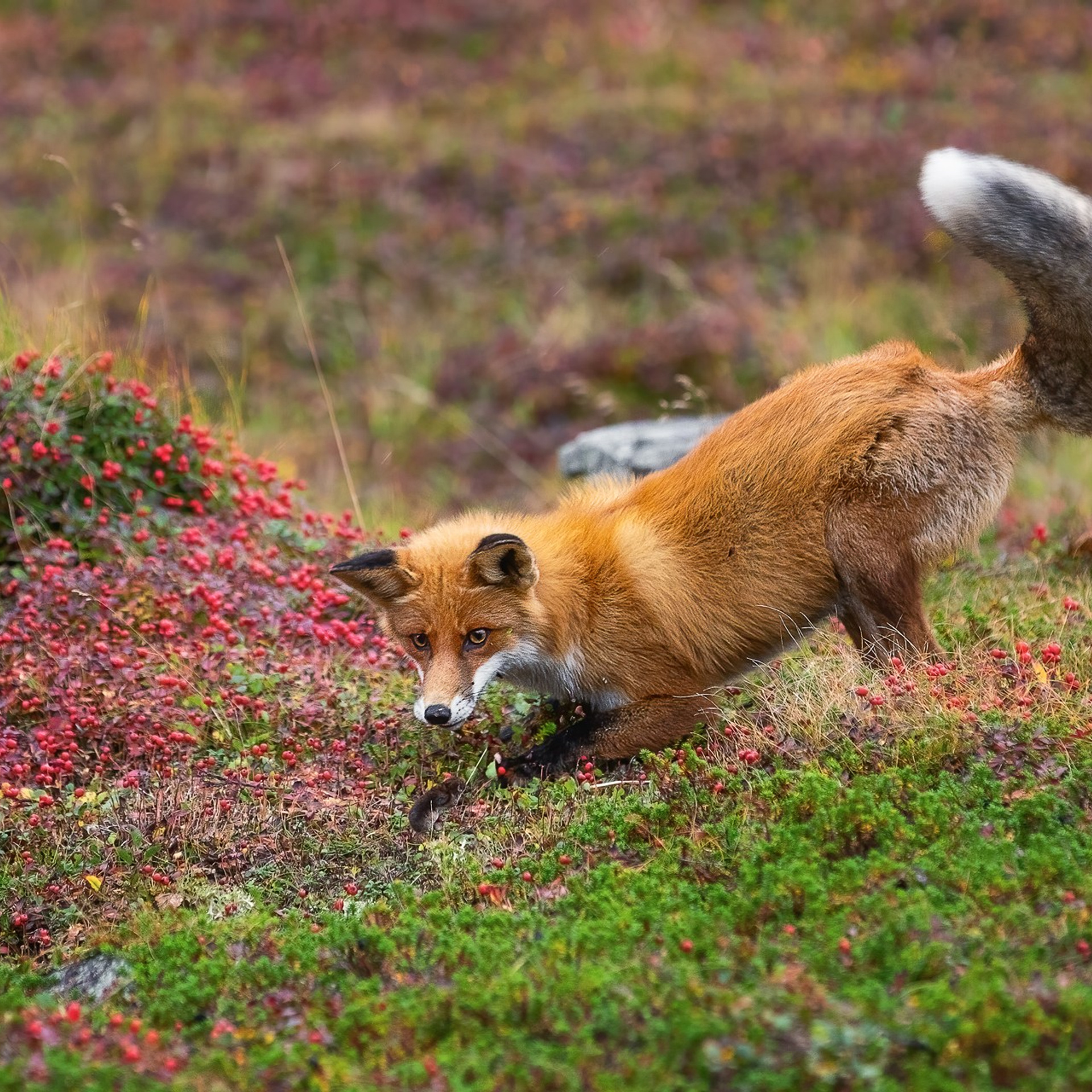 РЫБАЧИЙ 2025. Фототуры и обучение пейзажной фотографии