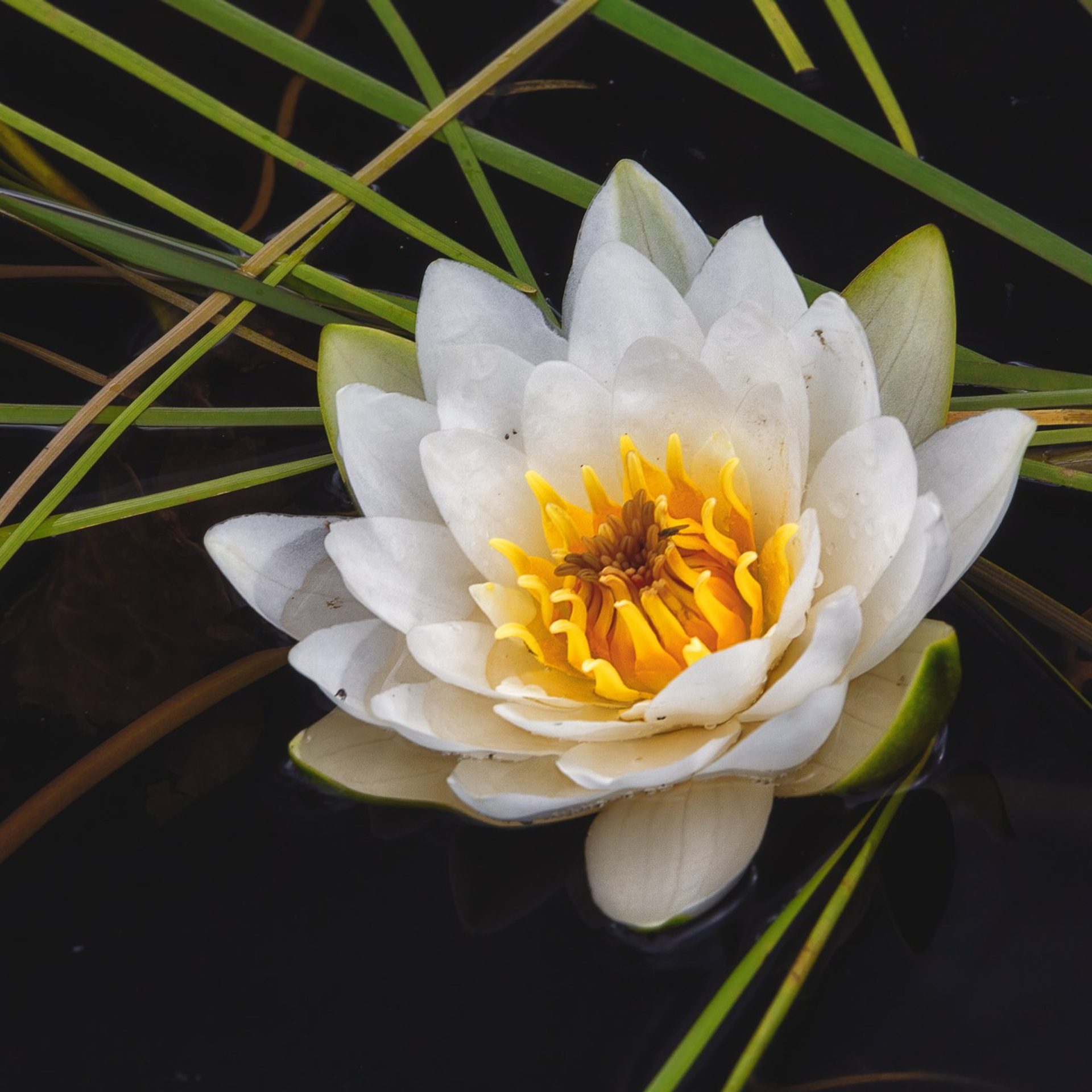 КЕНОЗЕРО 2026. Фототуры и обучение пейзажной фотографии