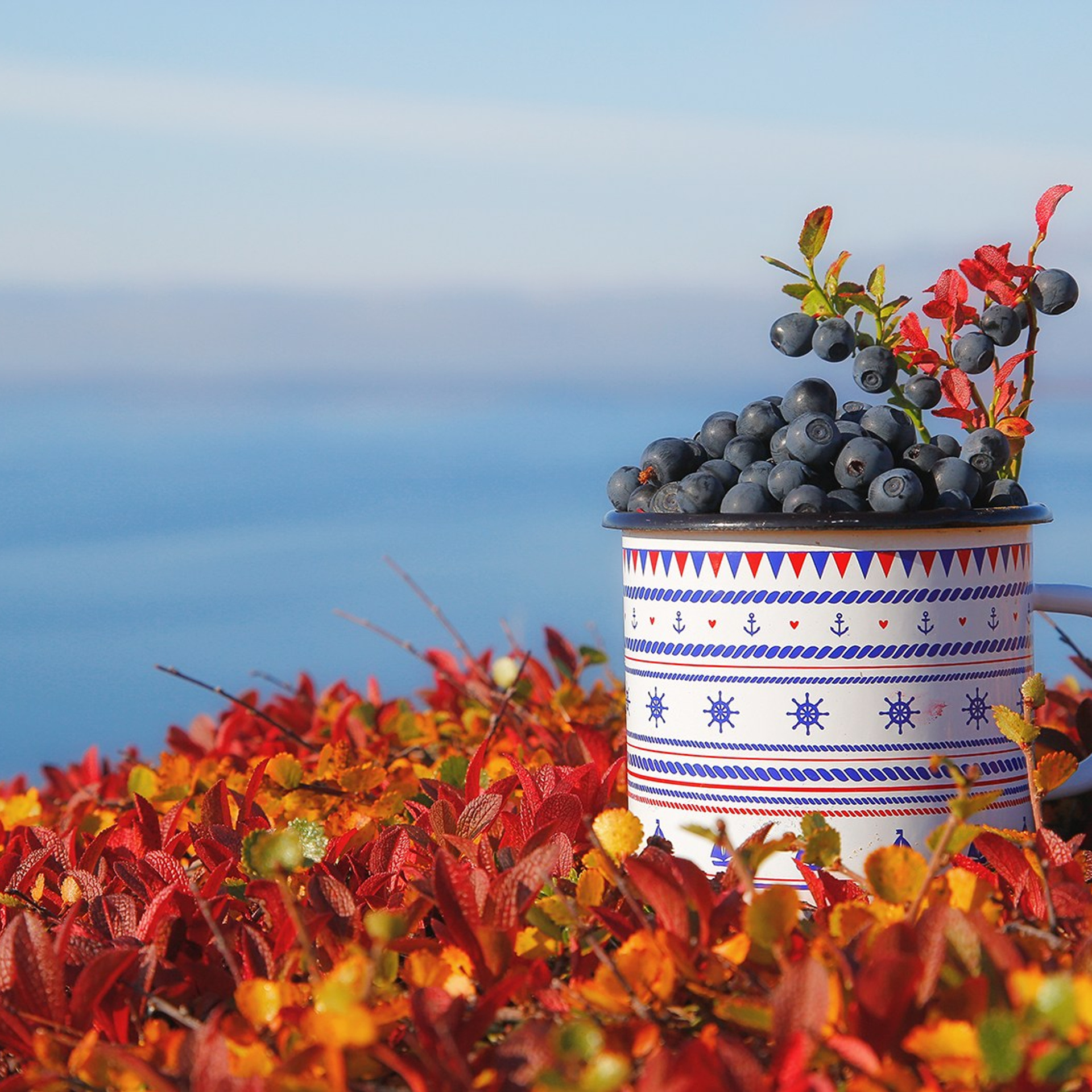 РЫБАЧИЙ 2025. Фототуры и обучение пейзажной фотографии