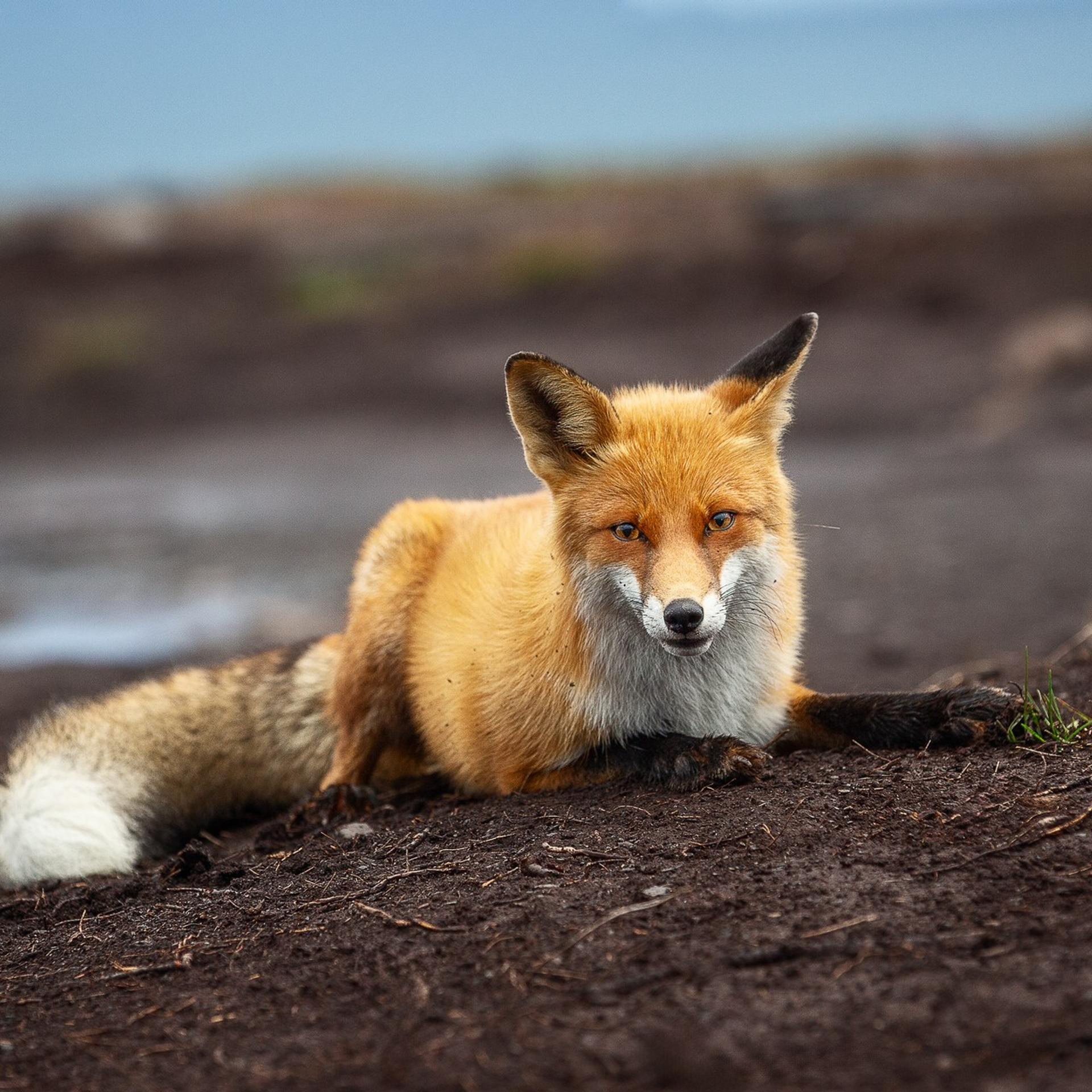 РЫБАЧИЙ 2025. Фототуры и обучение пейзажной фотографии