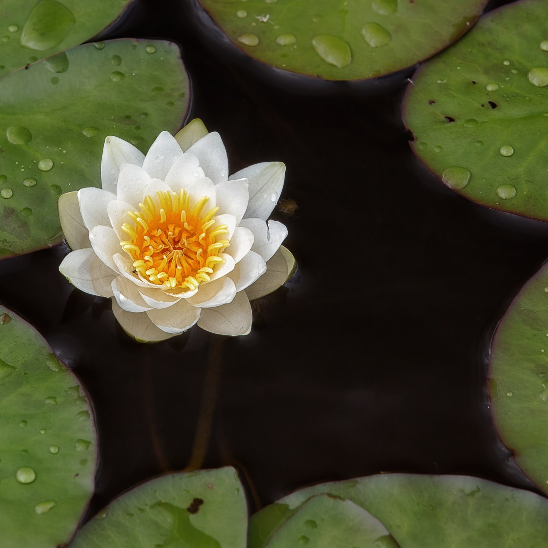 КЕНОЗЕРО 2026. Фототуры и обучение пейзажной фотографии