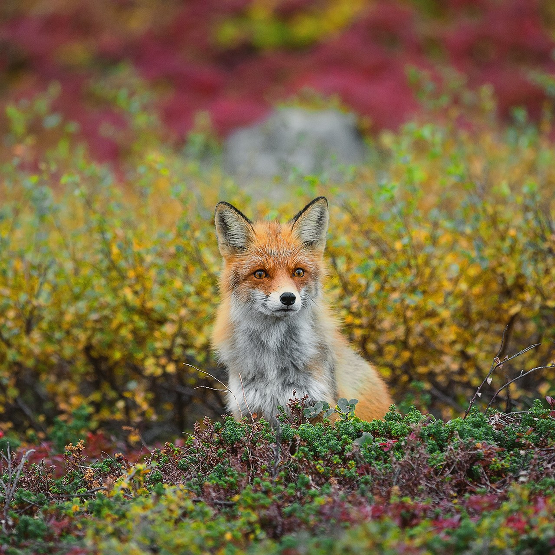 РЫБАЧИЙ 2025. Фототуры и обучение пейзажной фотографии