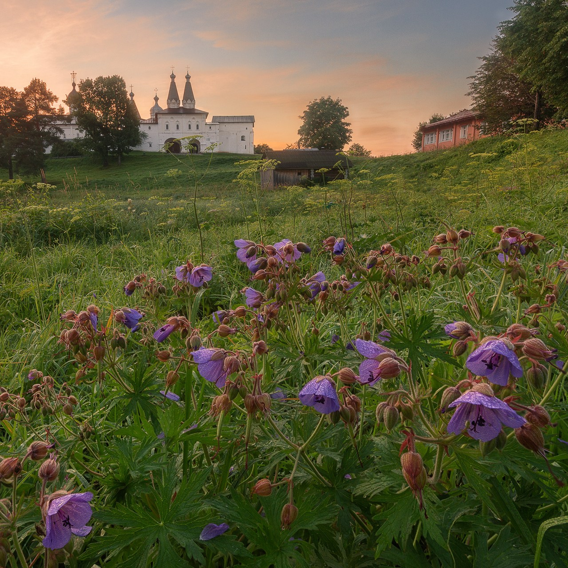 ВОЛОГДА-КИРИЛЛОВ 2026. Фототуры и обучение пейзажной фотографии