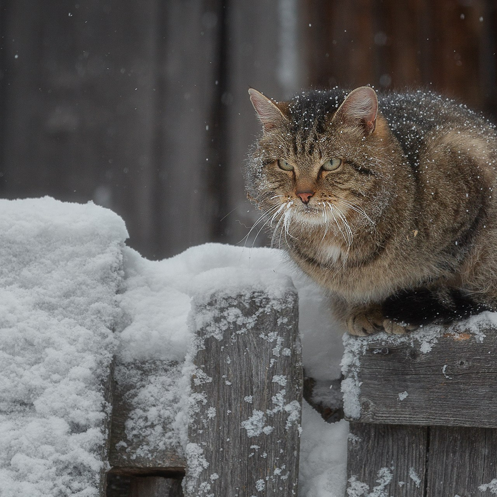 ПЕРМСКИЙ КРАЙ 2025. Фототуры и обучение пейзажной фотографии