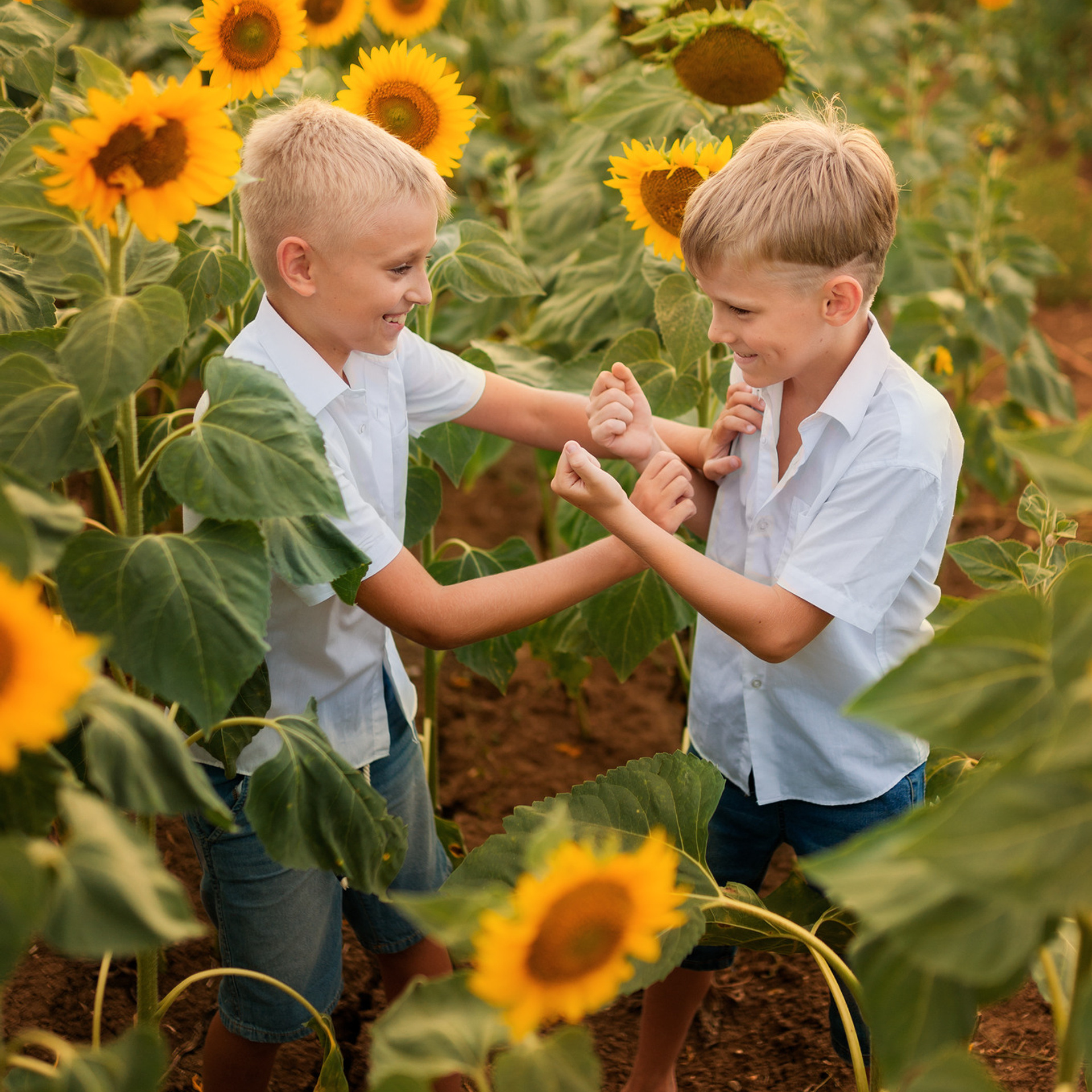 Братья. Женский фотограф в Севастополе Алёна Бровченко