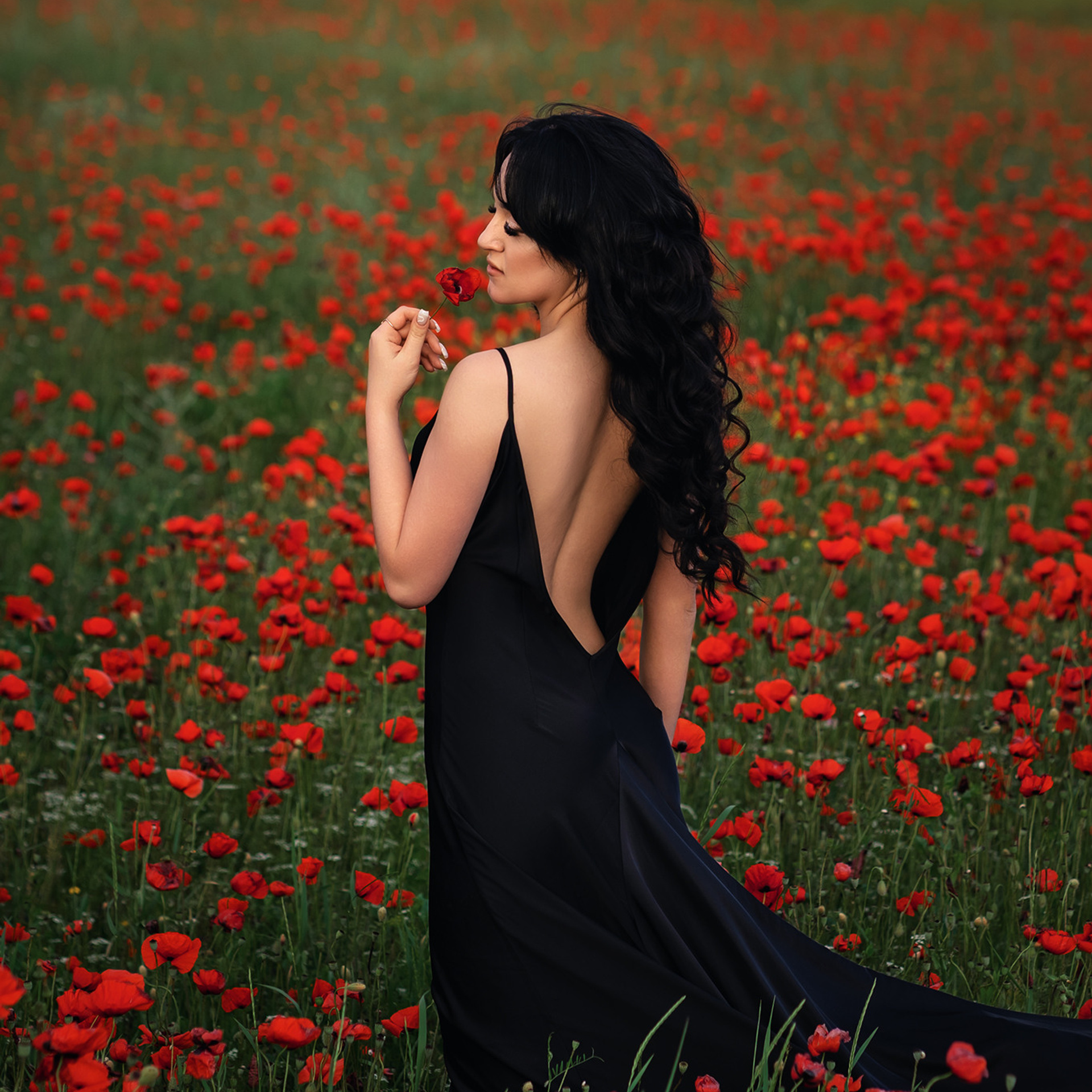 Маки_Валерия. Женский фотограф в Севастополе Алёна Бровченко