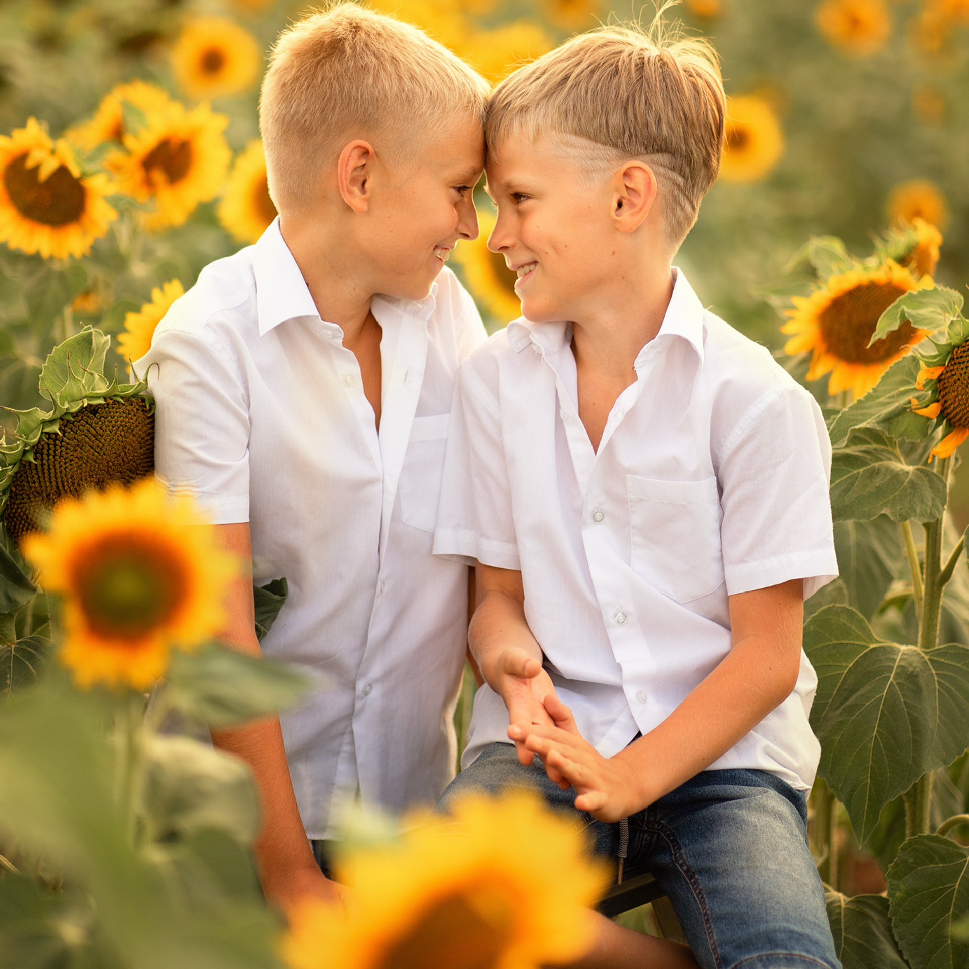 Братья. Женский фотограф в Севастополе Алёна Бровченко
