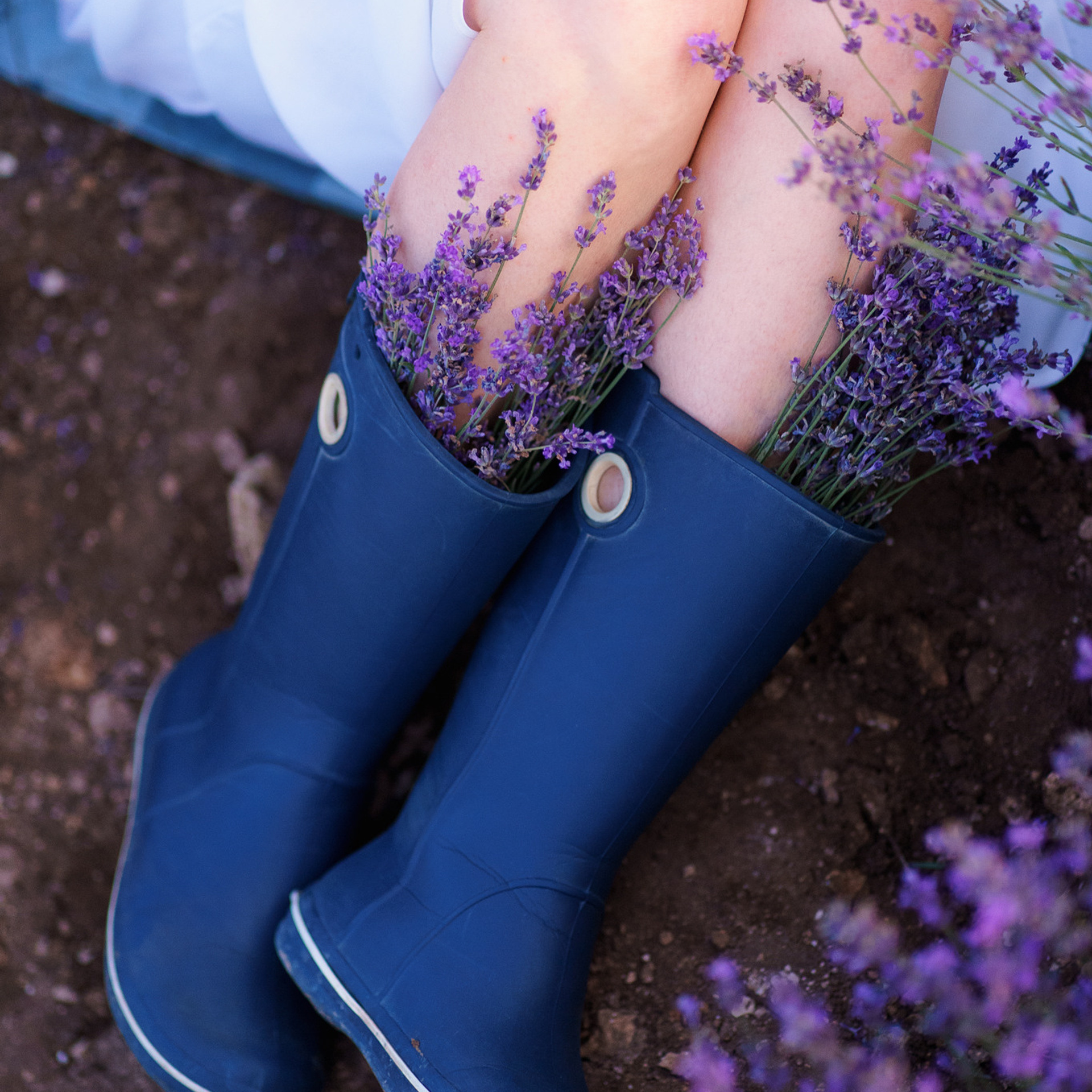 Лаванда. Женский фотограф в Севастополе Алёна Бровченко