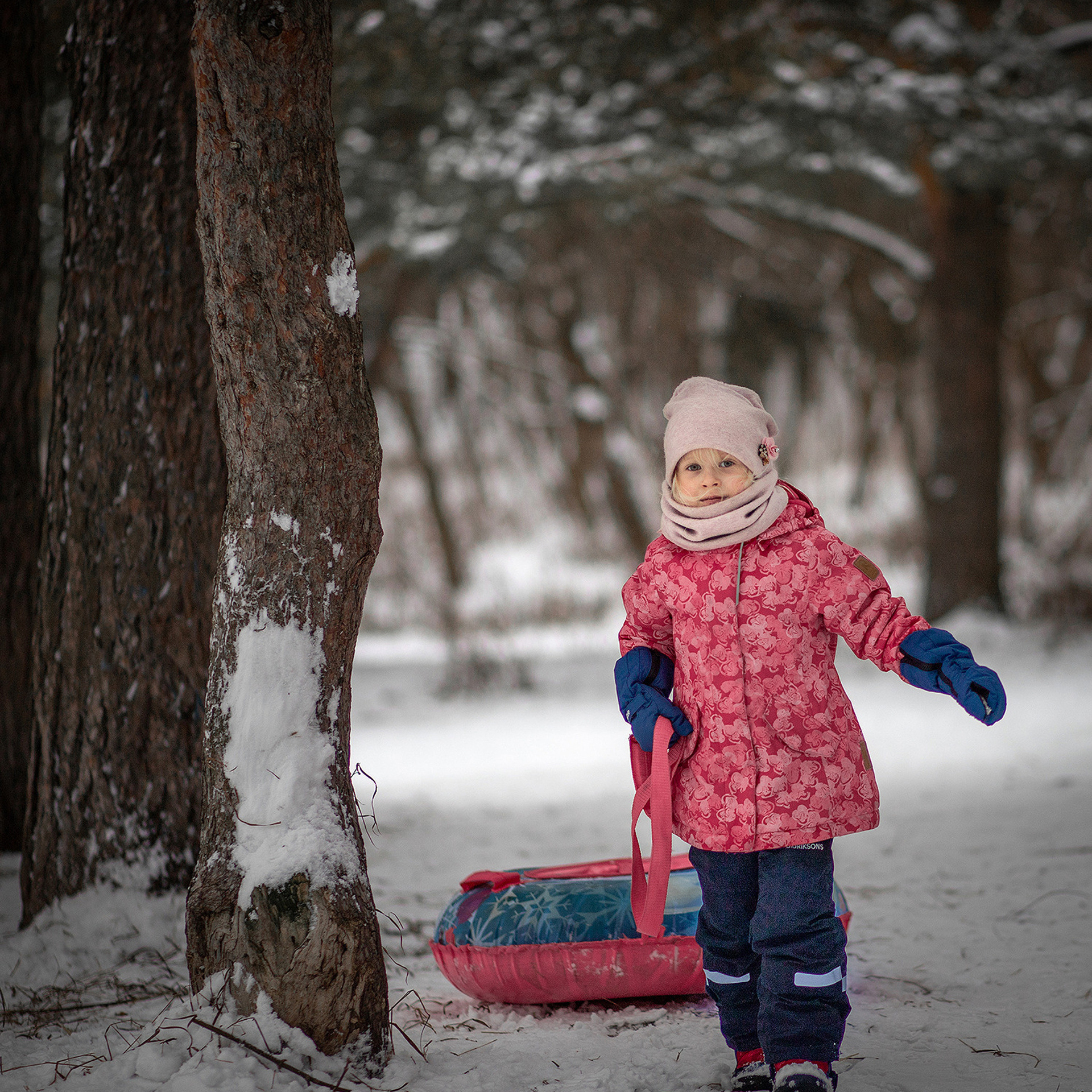 Портфолио. Главная