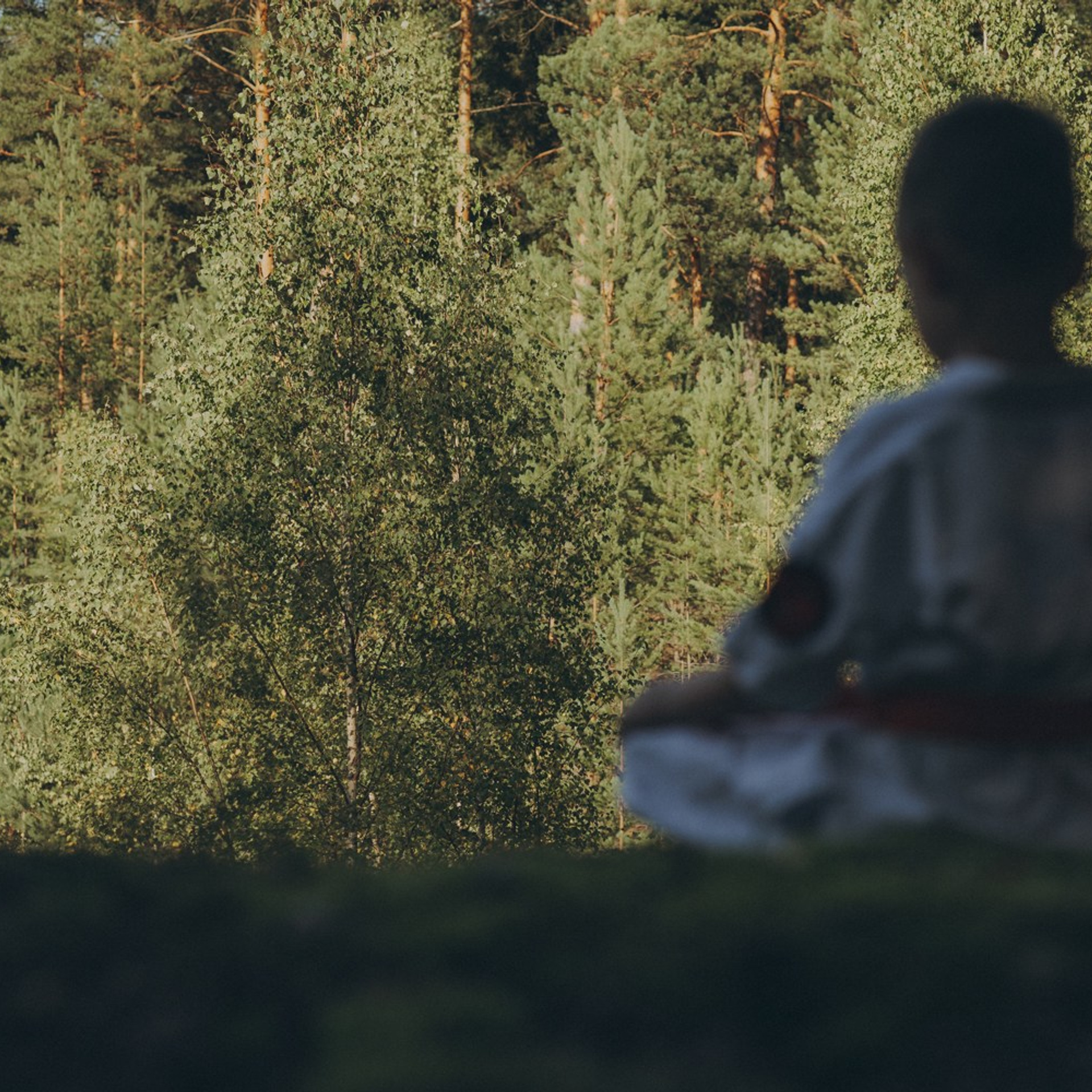 Кекусин Будо