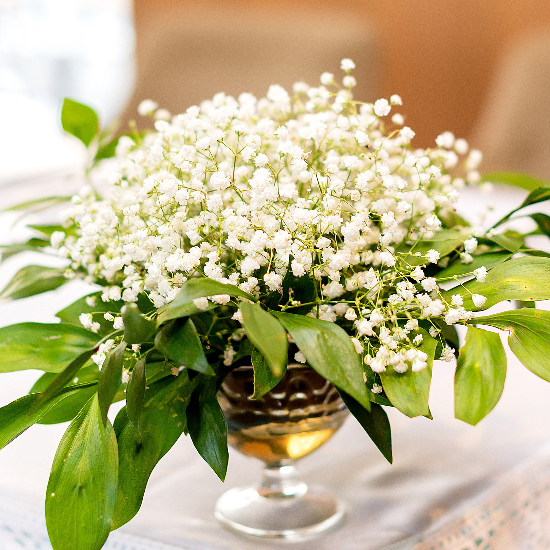 Отзывы. Фотограф Татьяна Иванчикова