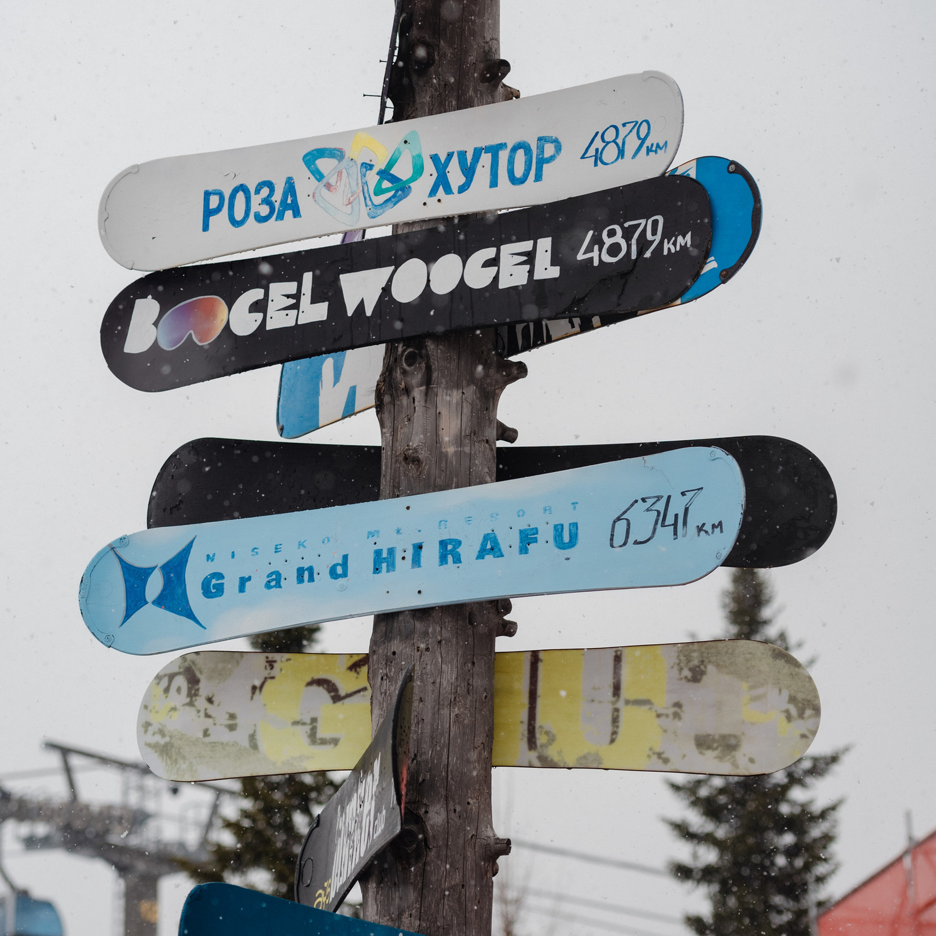 Отзывы о фотографе. Сергей Богомолов. Свадебный и семейный фотограф