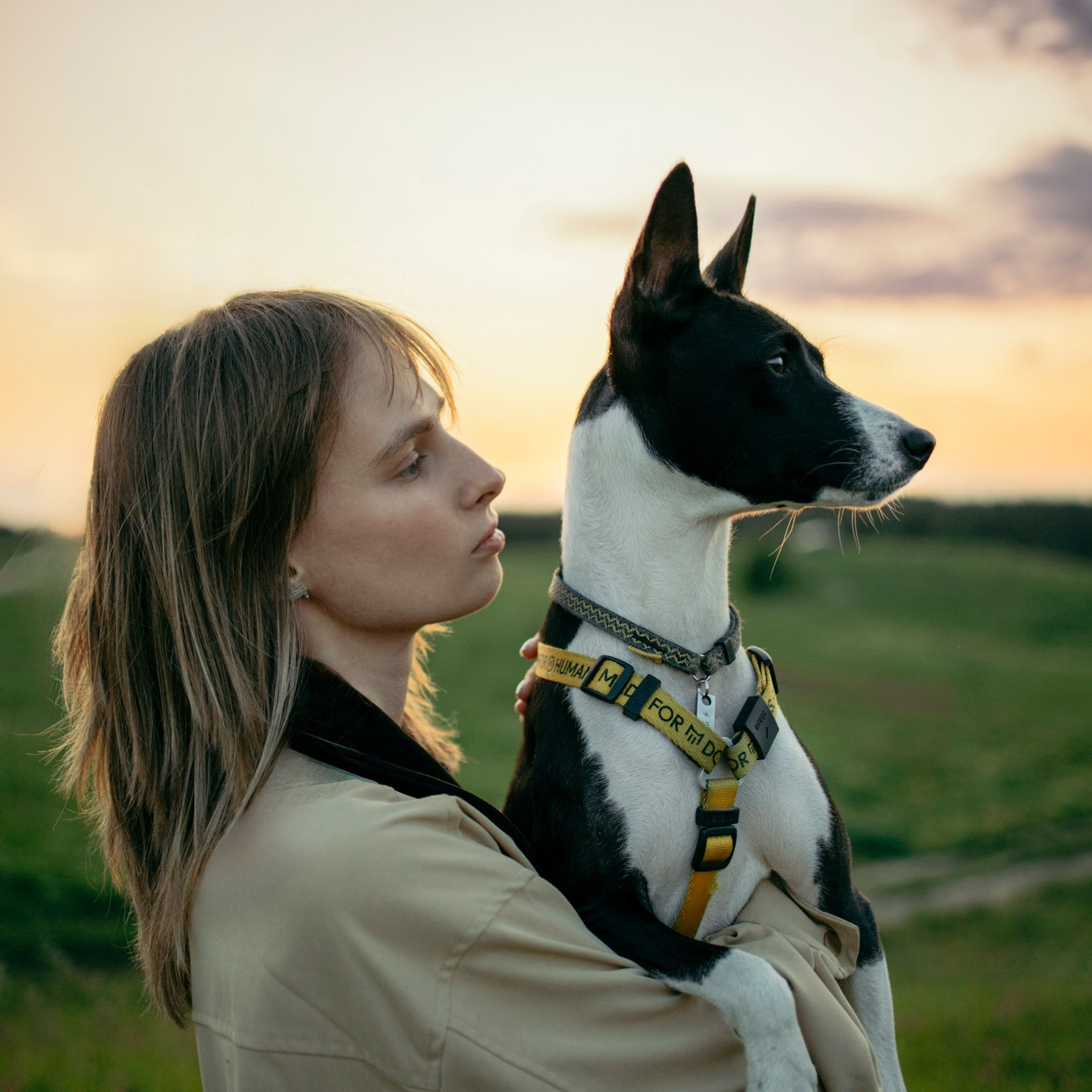 Отзывы. Фотограф-анималист в Санкт-Петеребурге Титова Алиса