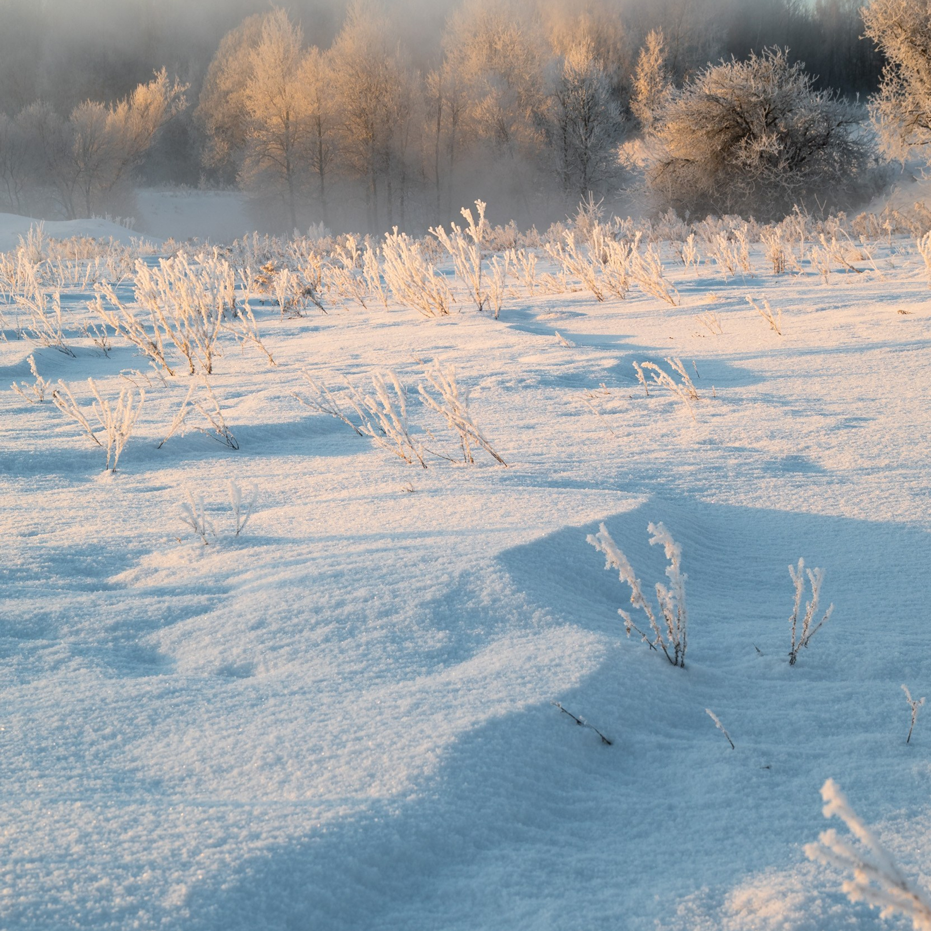 Река Дёготня