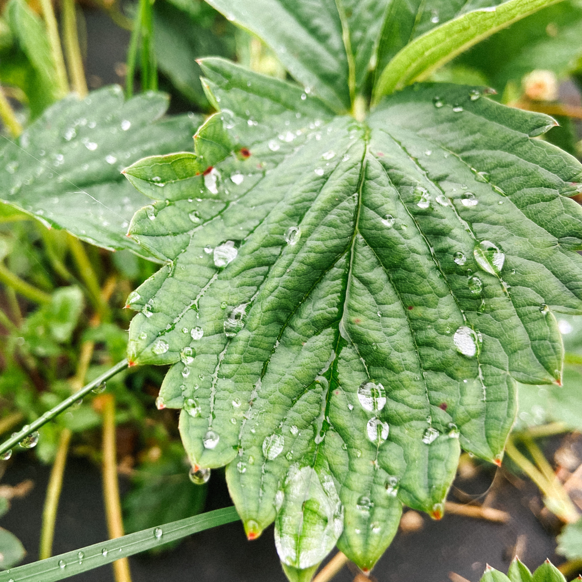 Отзывы. Команда фотографов Кристины Ивановой