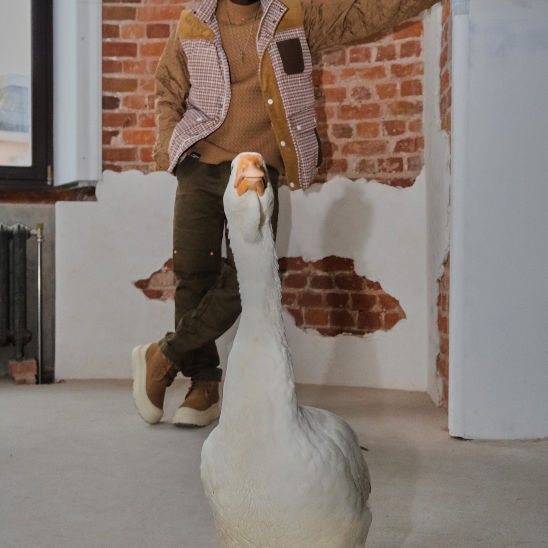 REMINGTON brand 2.0. Annsekx