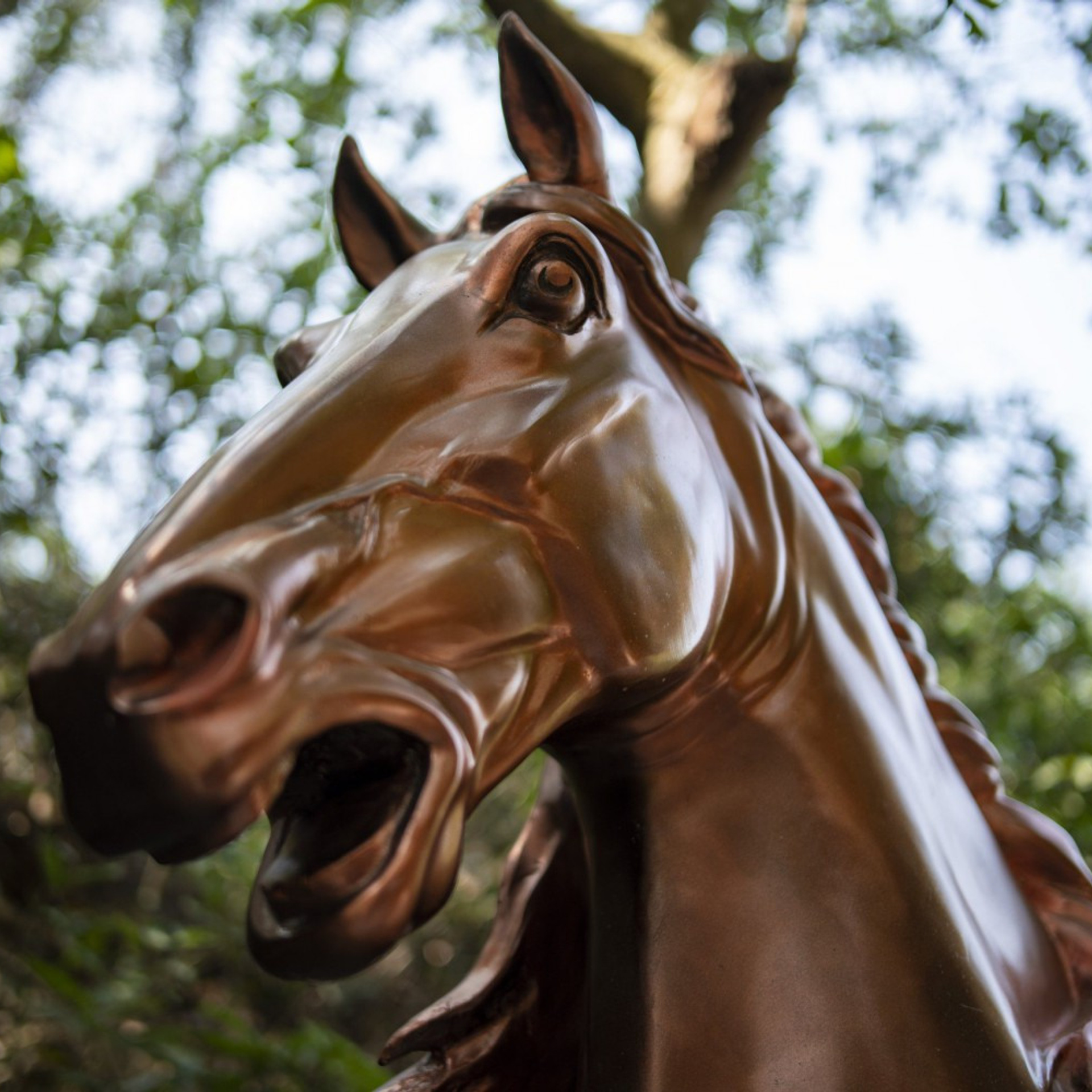 Широкоугольный мануальный объектив Laowa Argus 28 mm F1.2 FF. Фотограф — видеограф в Москве Дмитрий Менделеев