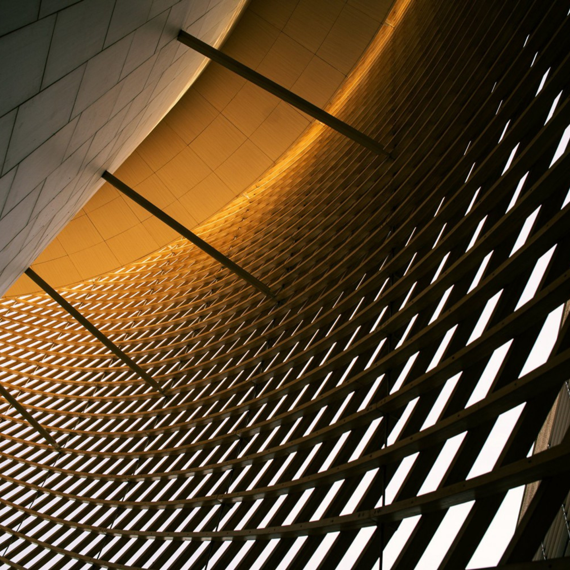 Широкоугольный мануальный объектив Laowa Argus 28 mm F1.2 FF. Фотограф — видеограф в Москве Дмитрий Менделеев