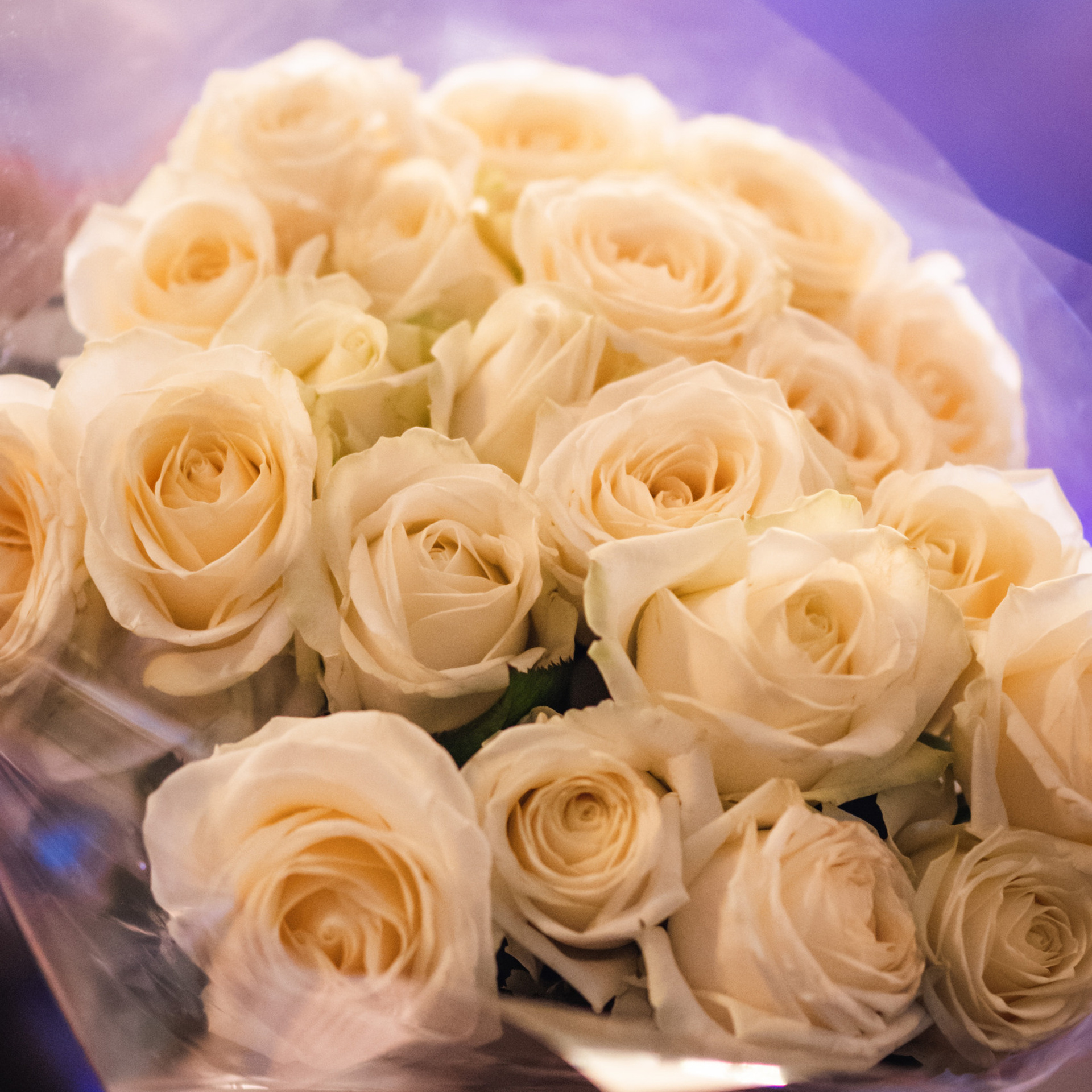 Отзывы. Фото и видеосъемка | продакшн студия ZPROD