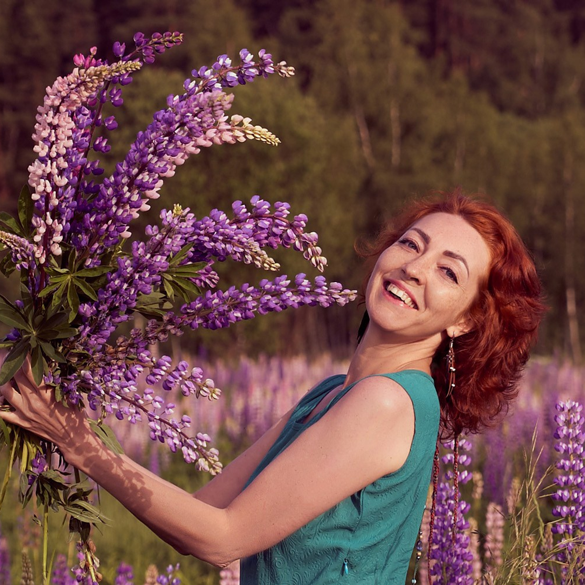 Светлана в люпинах