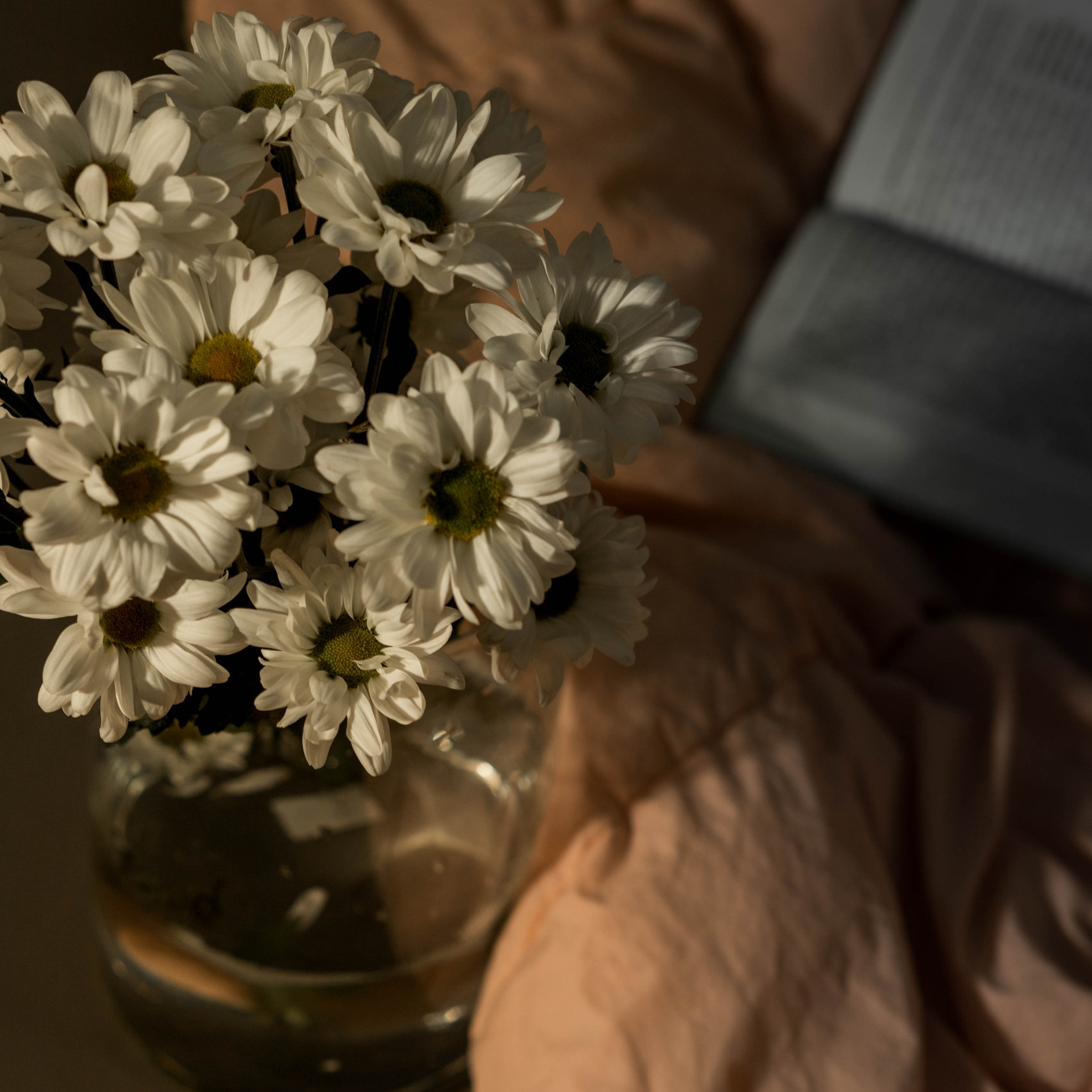 Отзывы. Фотограф Заринск. Комиссарова Кристина